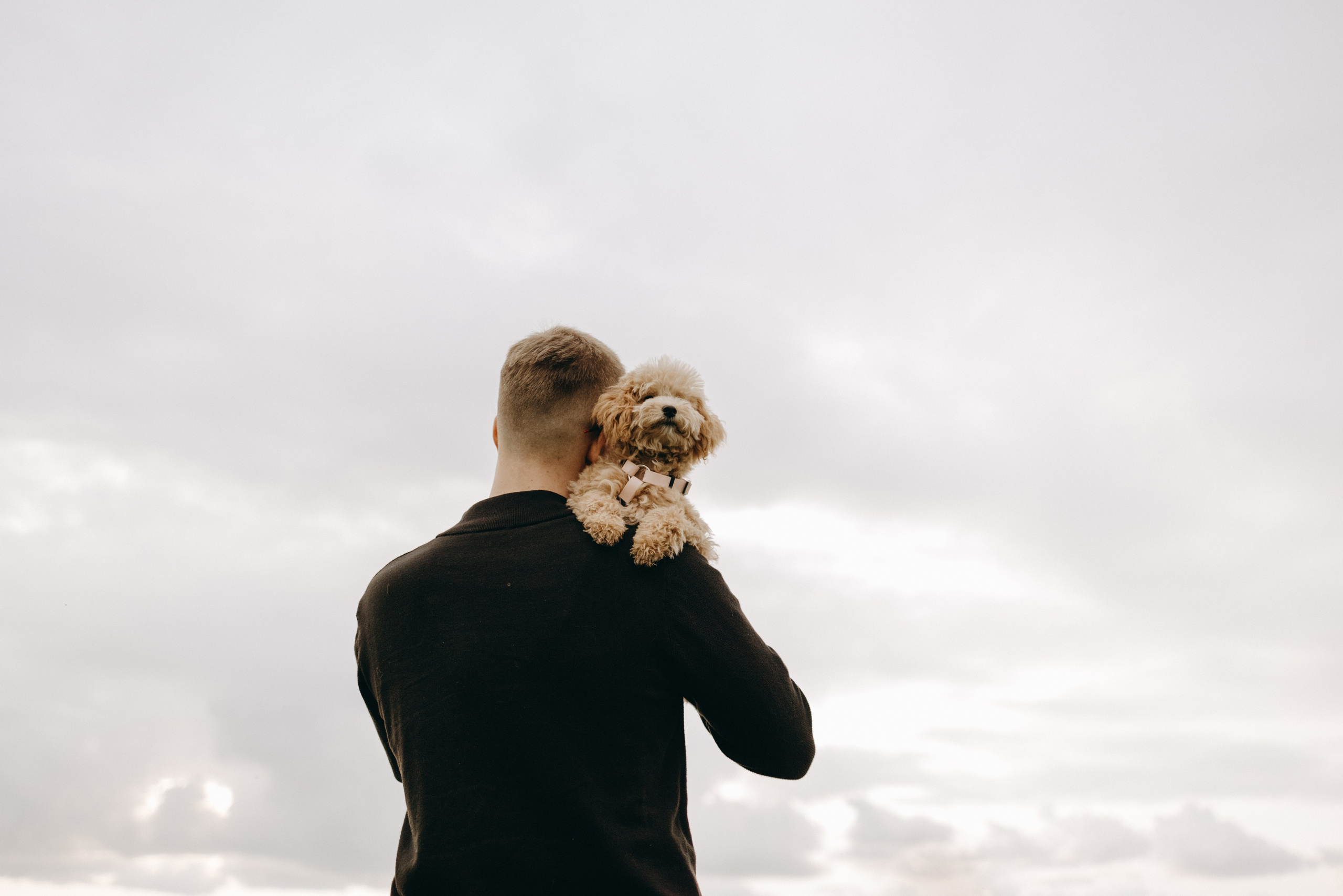 Мия и ее семья. Фотограф — Анималист | Санкт-Петербург