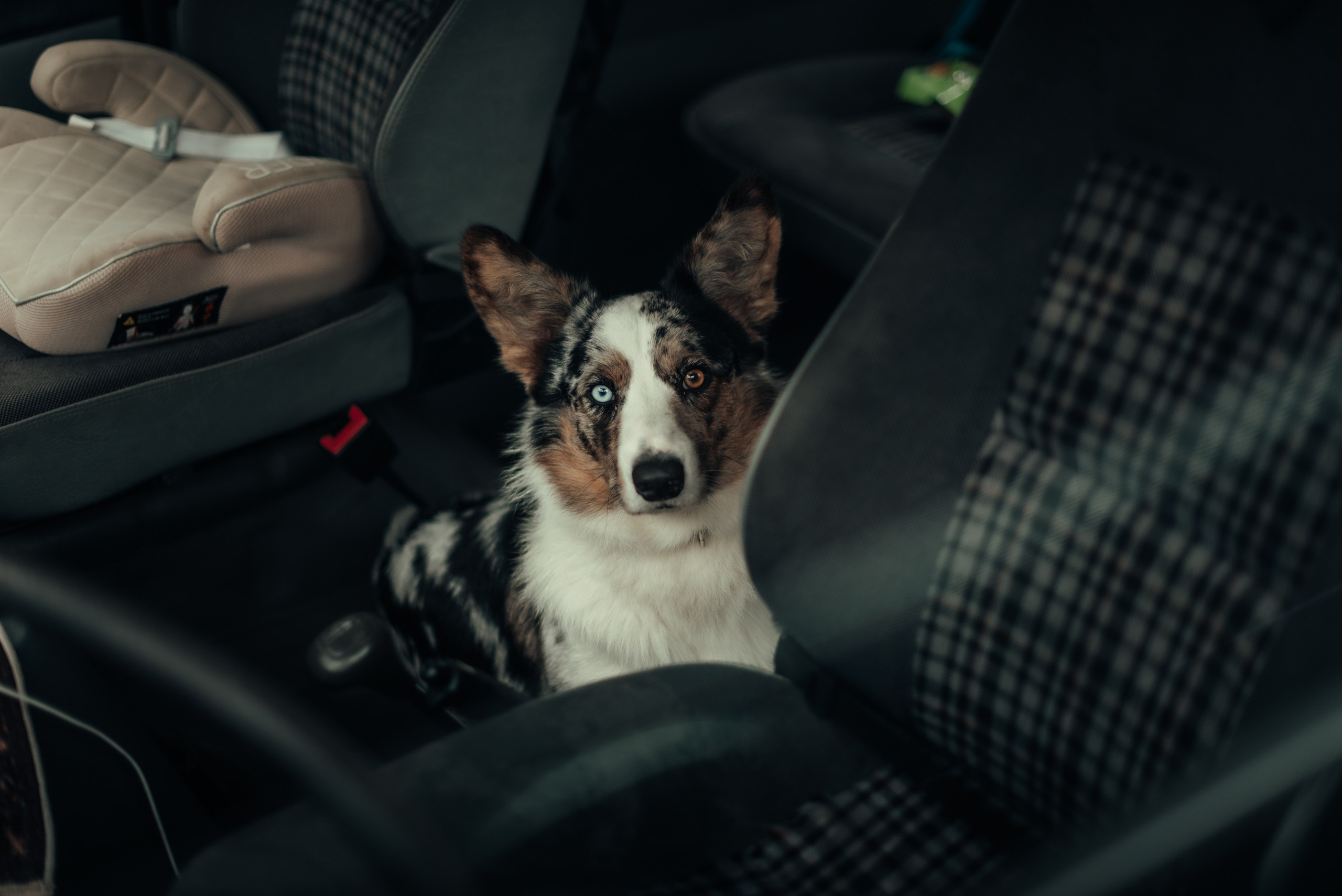 Cars and Coffee 28/09/24. Автомобильный фотограф Антон Цырулев