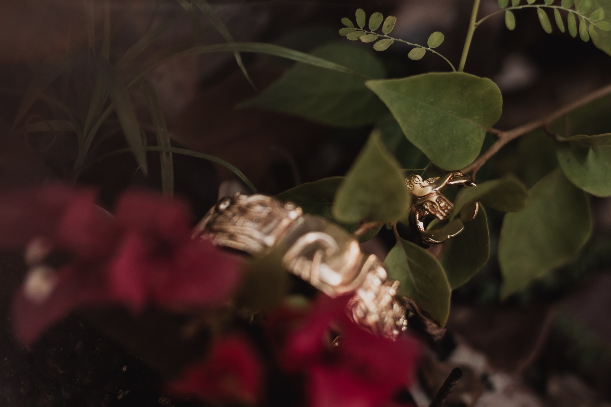 Pao and her collection. Mariam Bagdasaryan