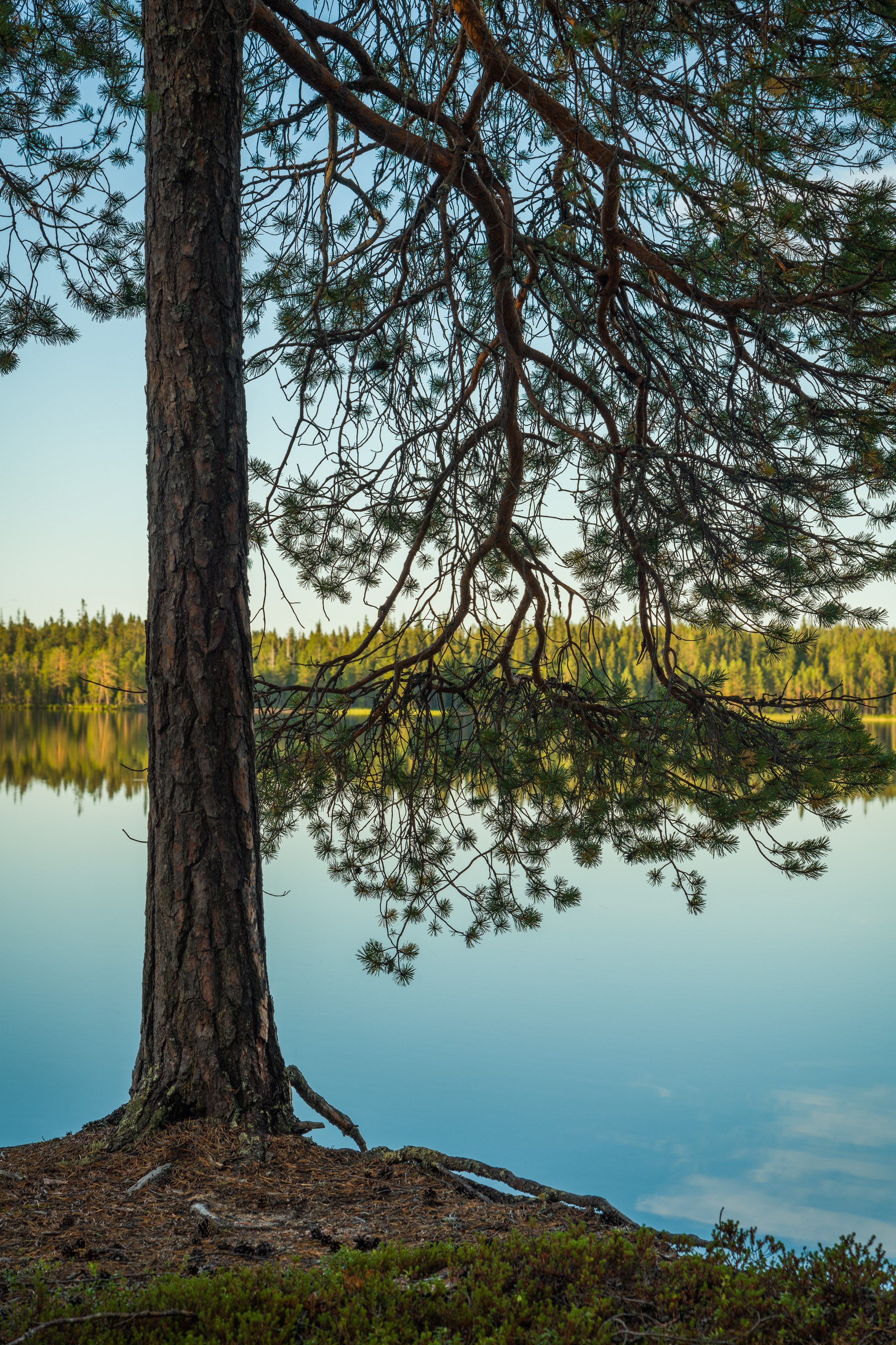 Озера Soppana. Северные Ночи
