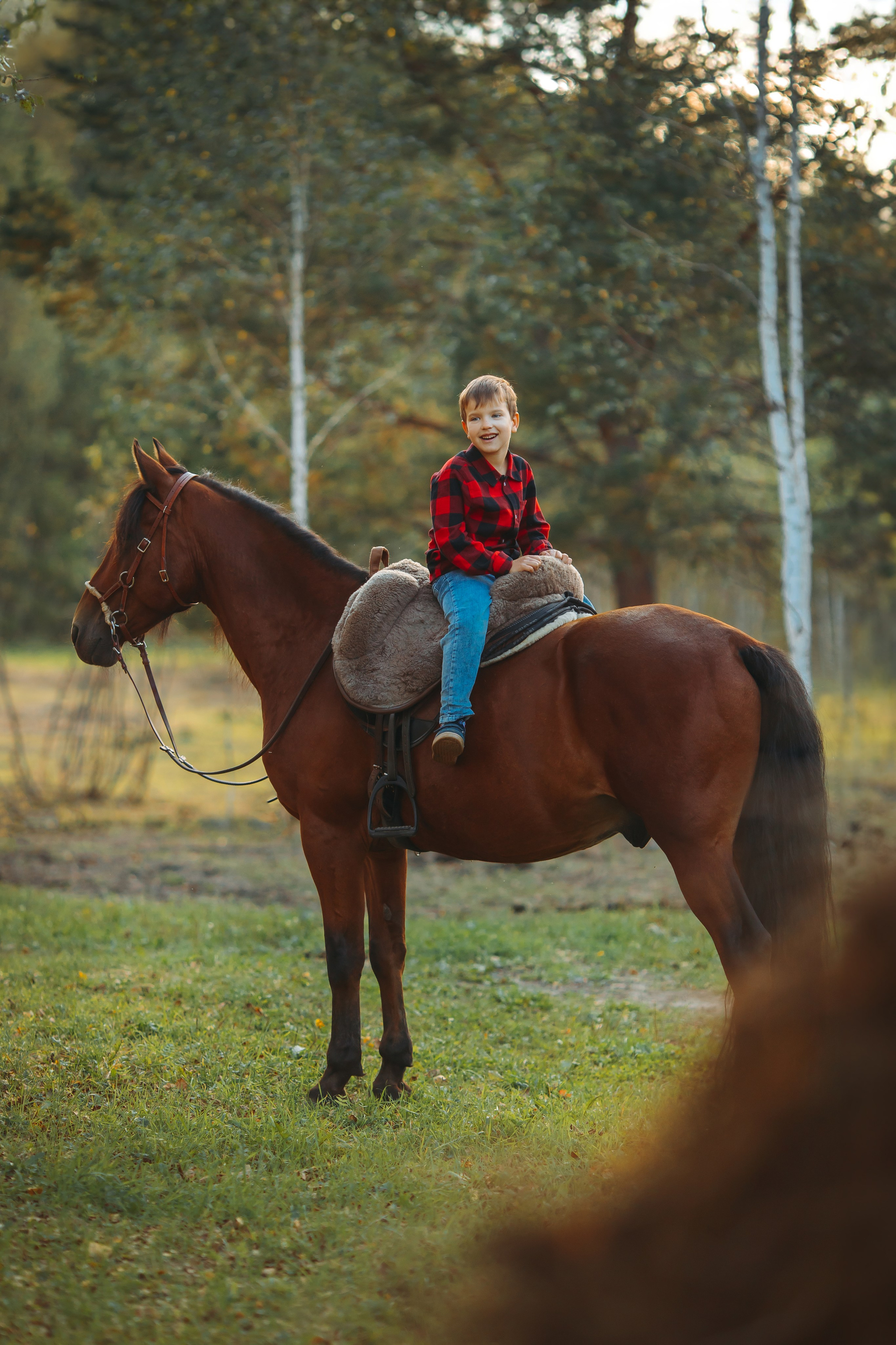 Для фотографов. Анна Молчанова конный фотограф в Тюмени | фотосессии с лошадьми Тюмень