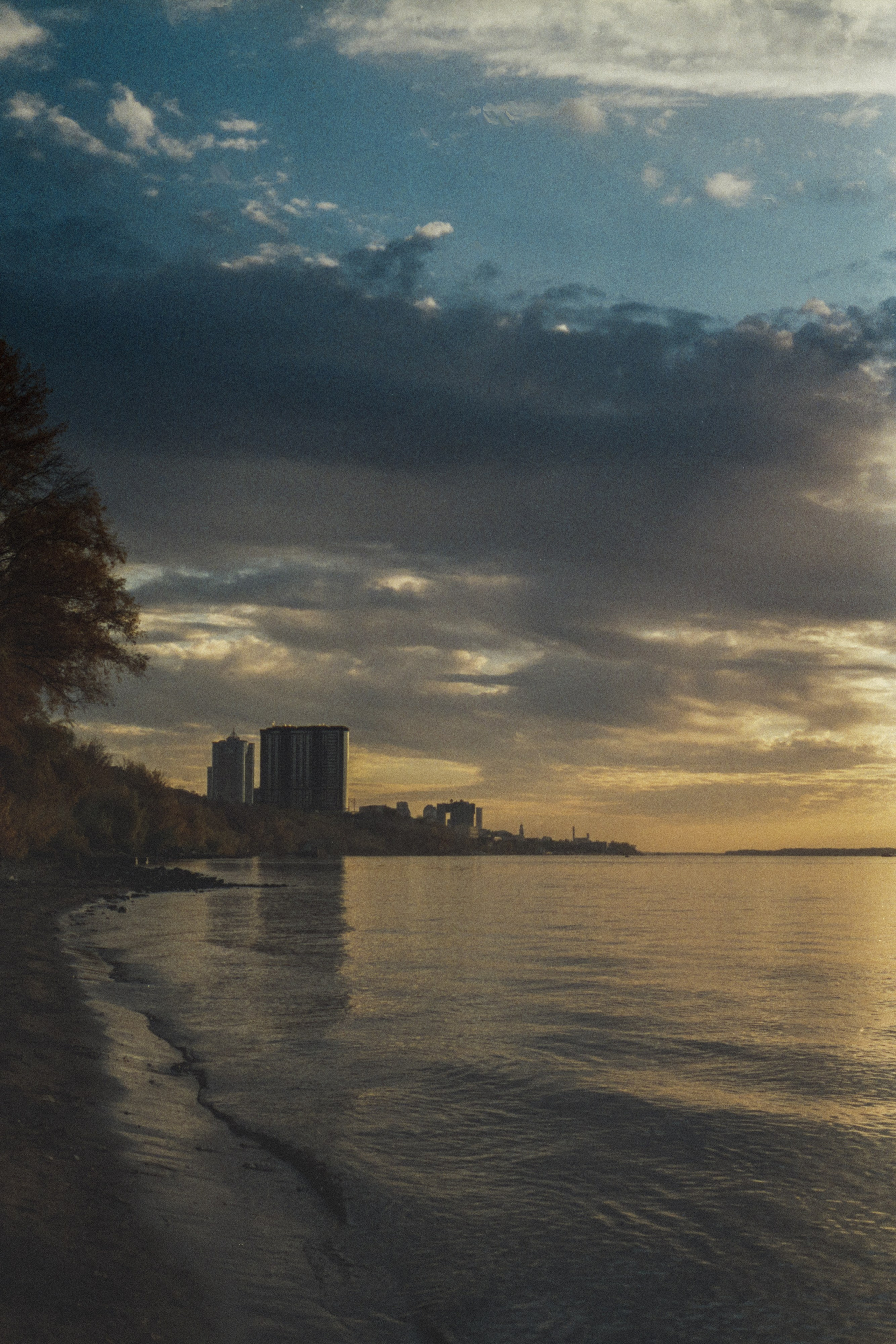 Пленочная история. Дмитрий Пропадалин, Нейрофотография