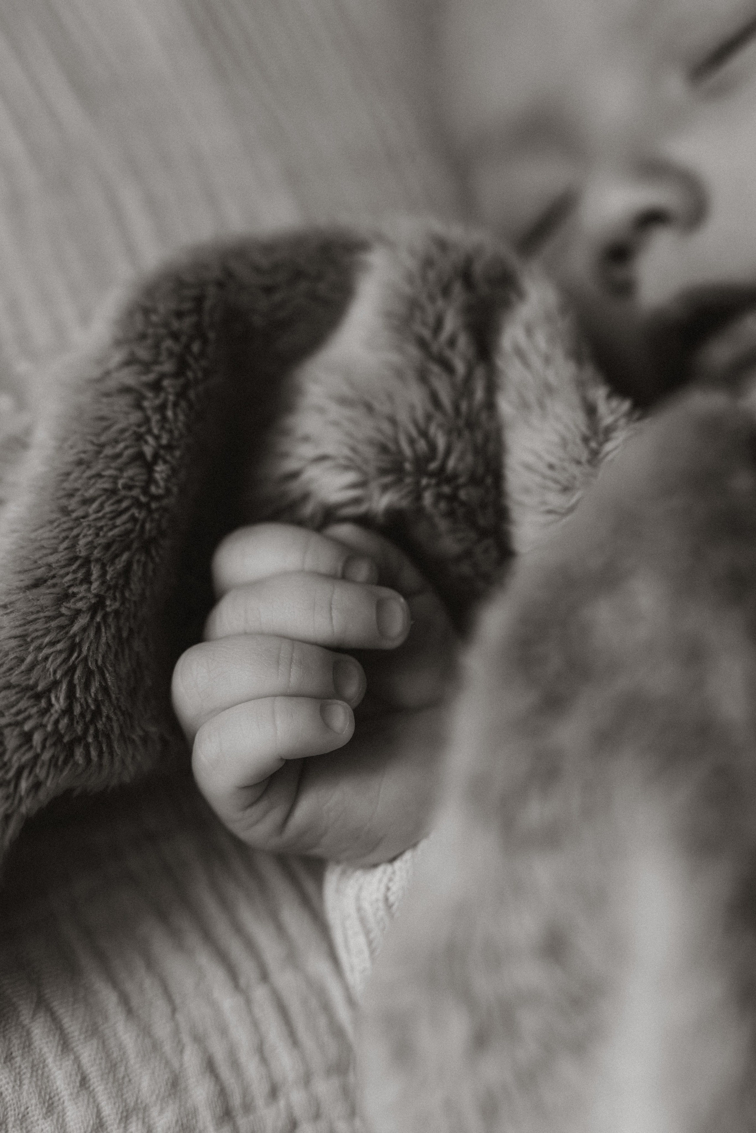 Ньюборн. Фотограф в Москве. Татьяна Родовская