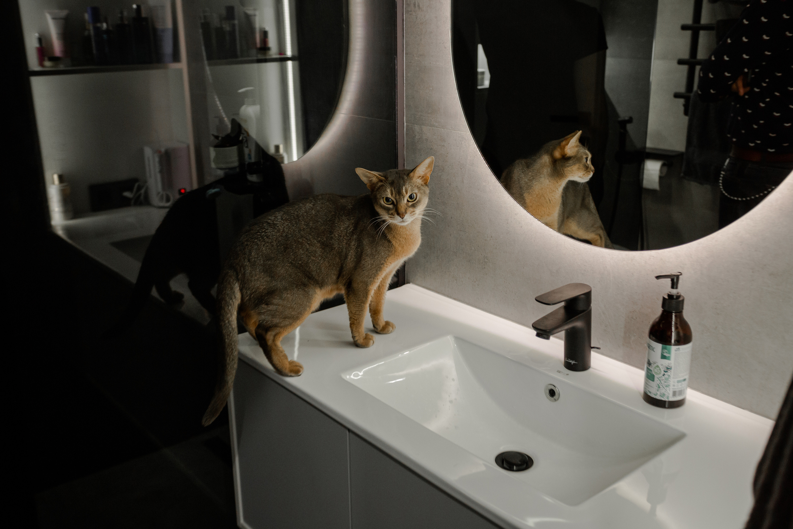 ЖК Ленинград. Фотограф Ереван Андрей Кукушкин