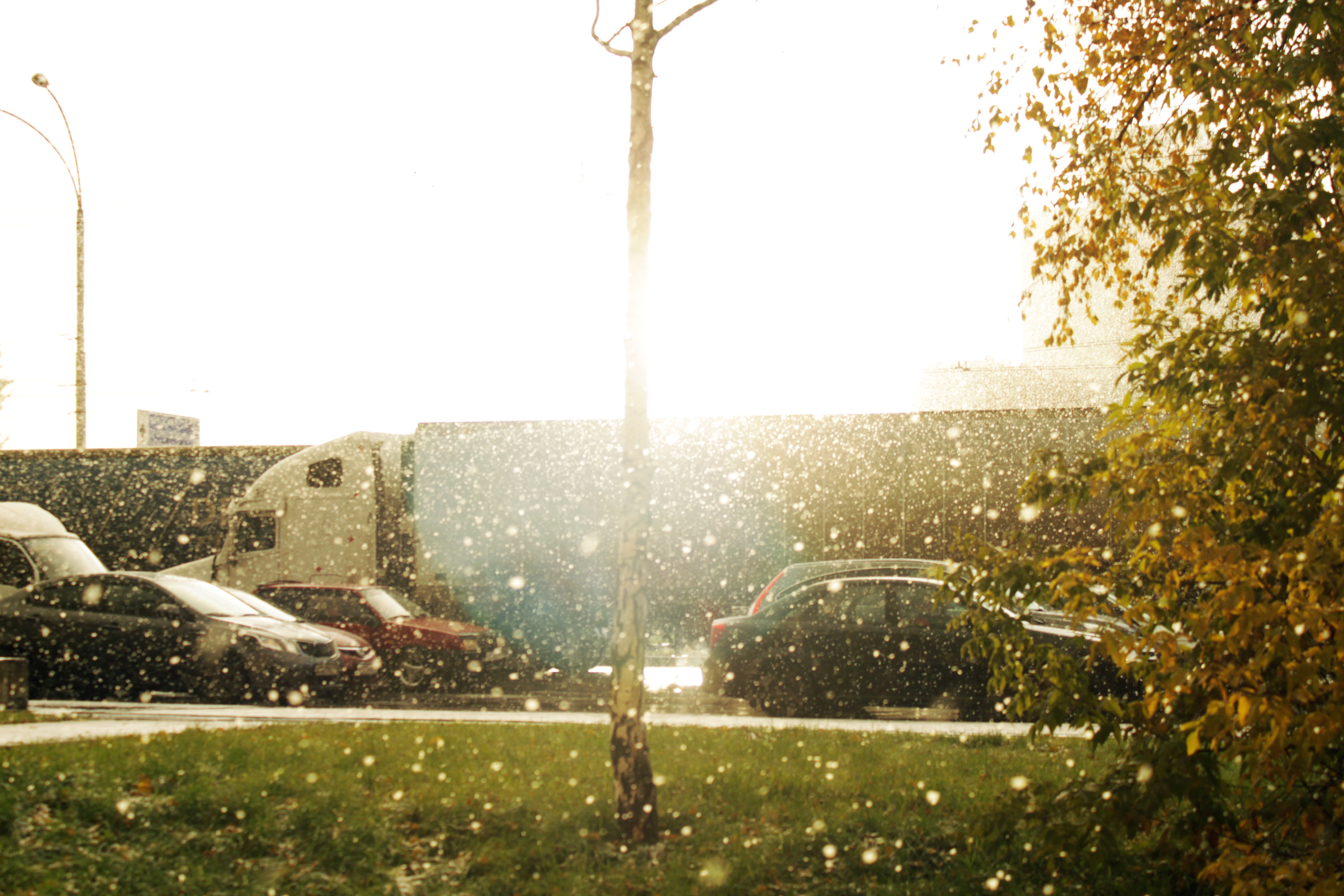 Фотограф Ереван Андрей Кукушкин