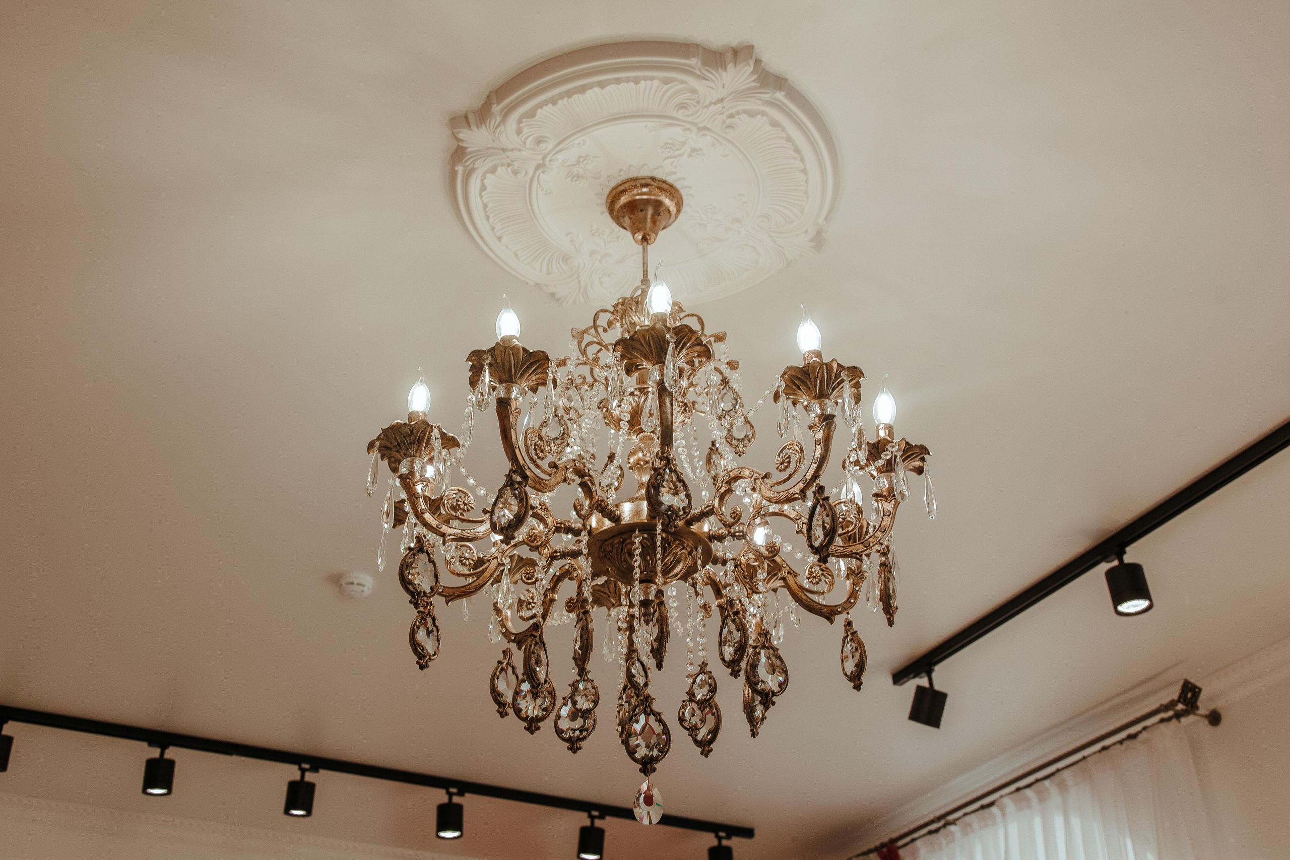 Локон. Фотограф Ереван Андрей Кукушкин