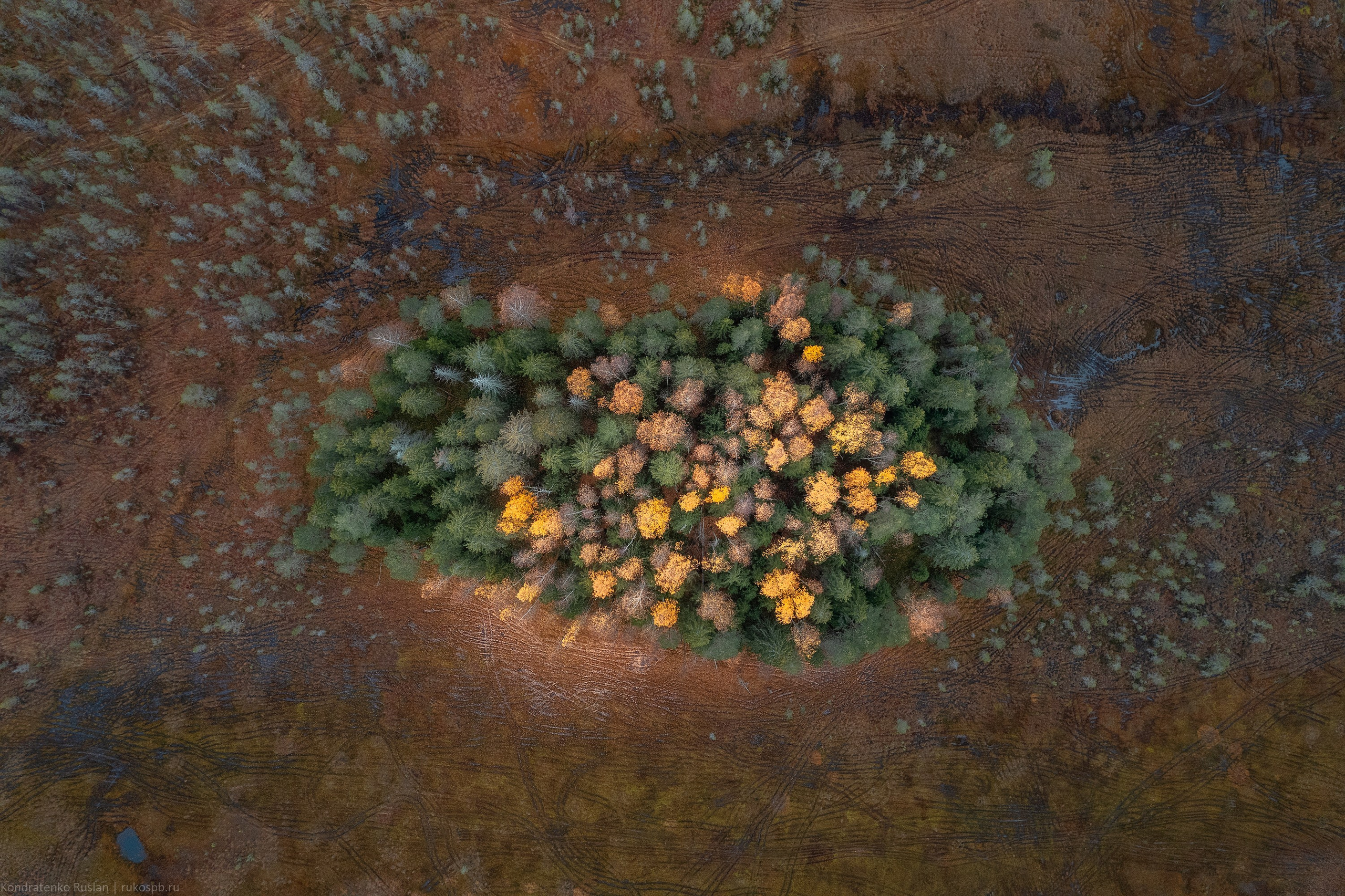 Ленинградская область. Архитектурный и пейзажный фотограф Кондратенко Руслан, Санкт-Петербург