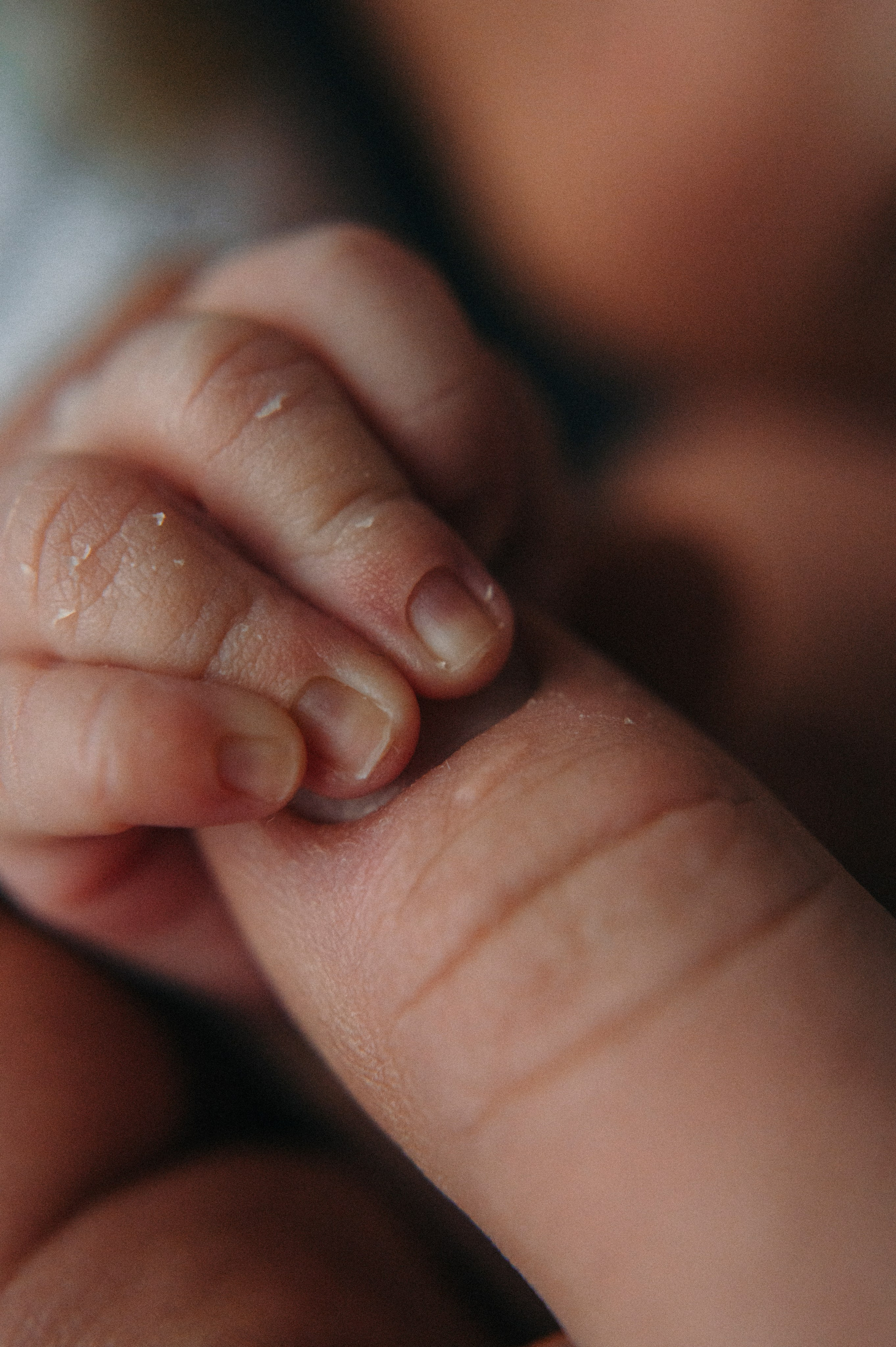 Новорожденные. Фотограф новорожденных и беременых в санкт-петербурге Юля Лампа