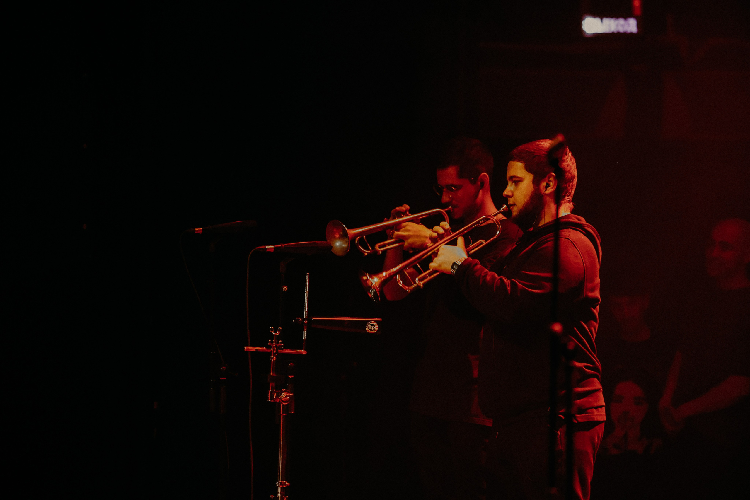 САЛУКИ @1930MOSCOW