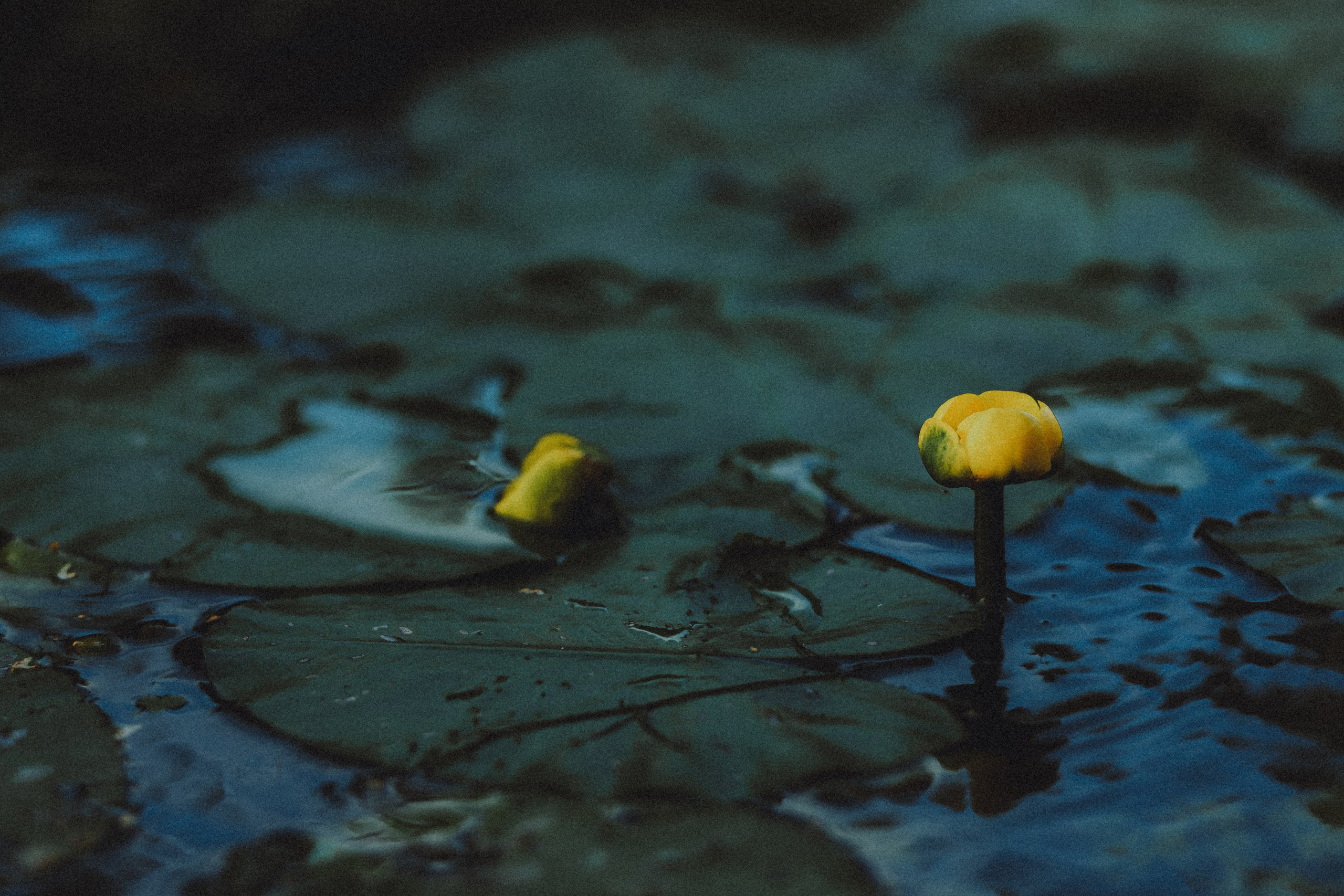 Маша и Джерри