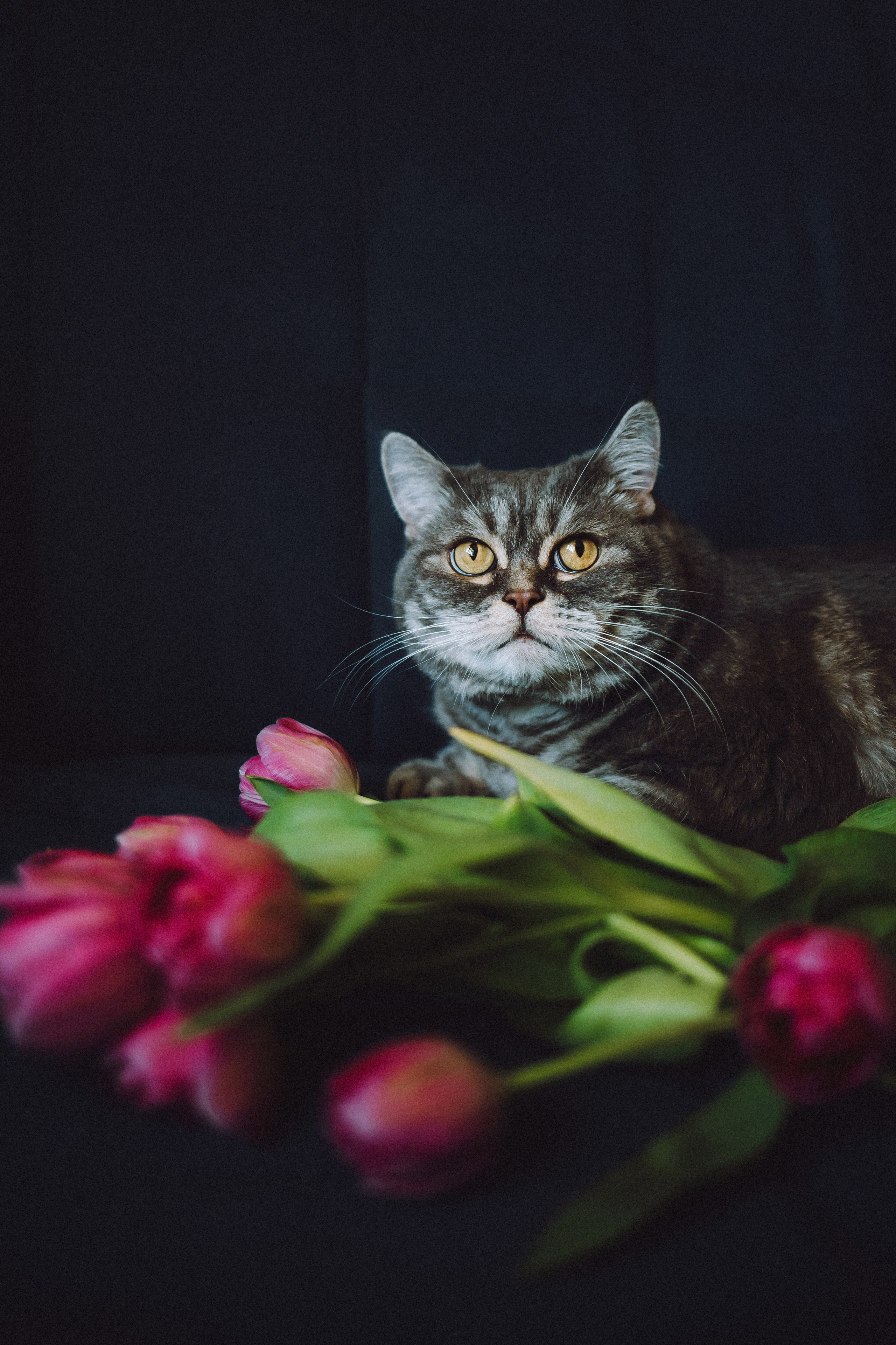 Яся и ее семья