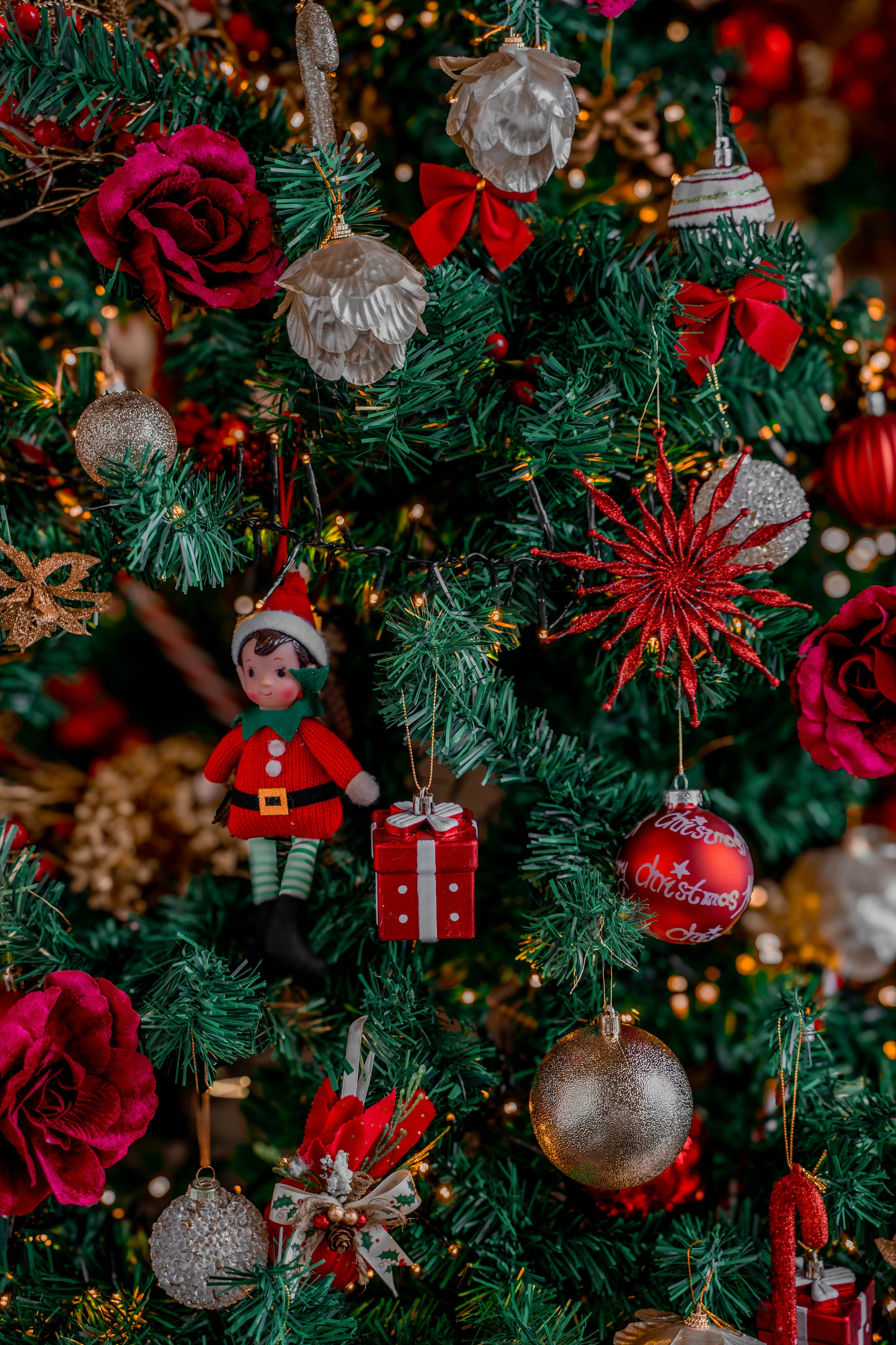 Sofia Kop. Photographer Liana Sudets Serbia Kopaonik Brzece Brus