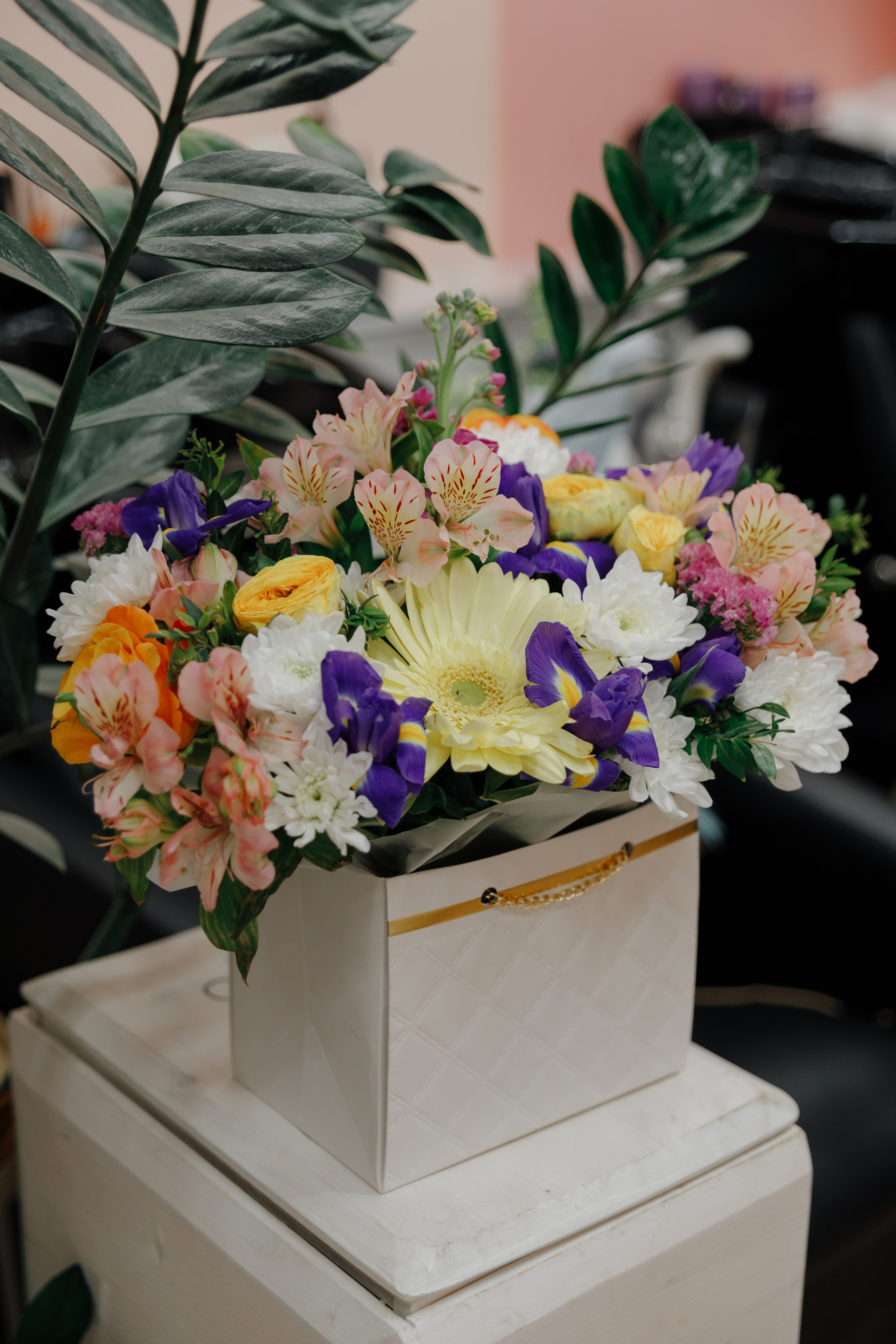 День рождения студии. Главная