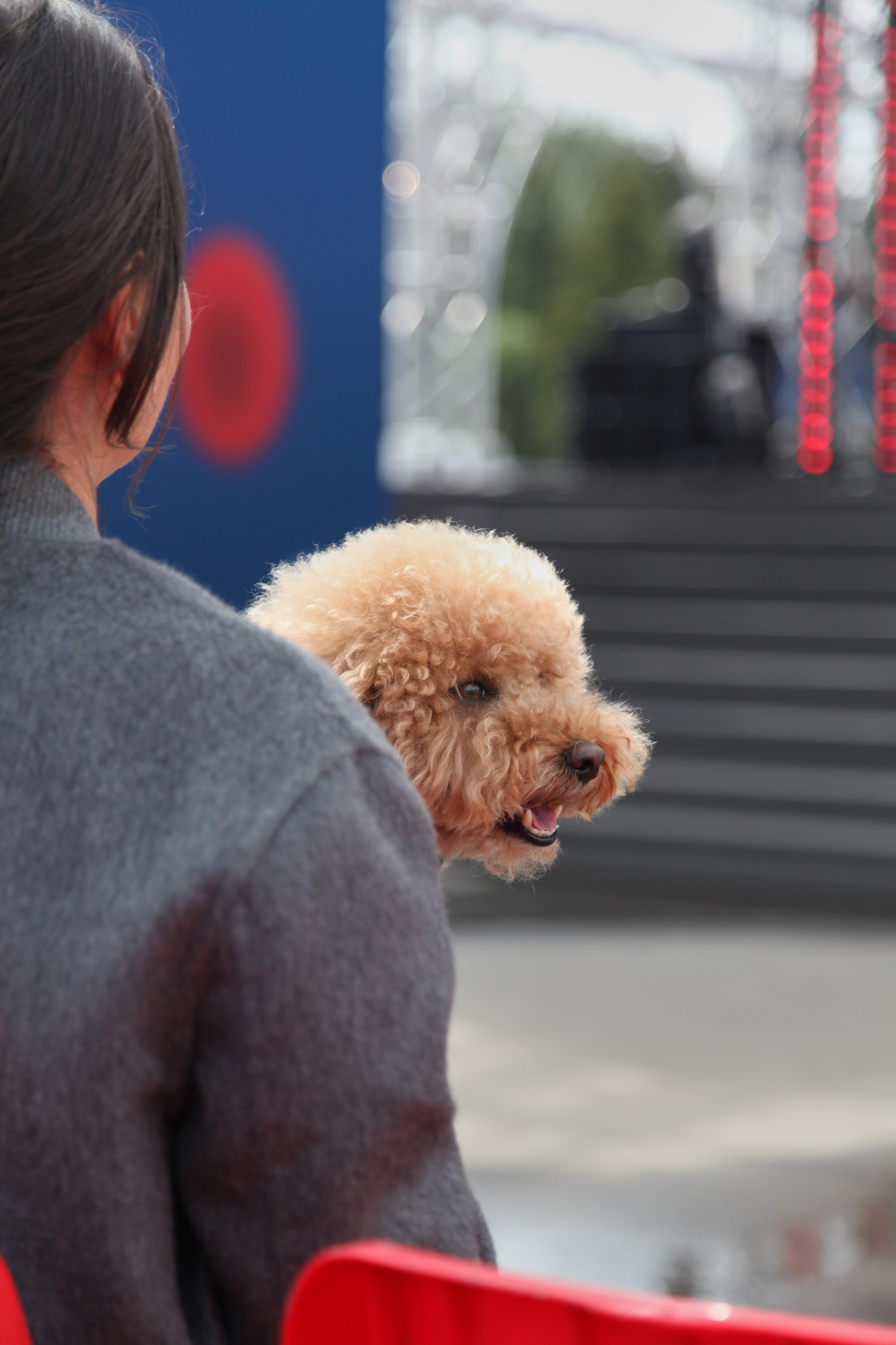 SHELEST_PRO_CASTING. Фотограф в Москве Илья