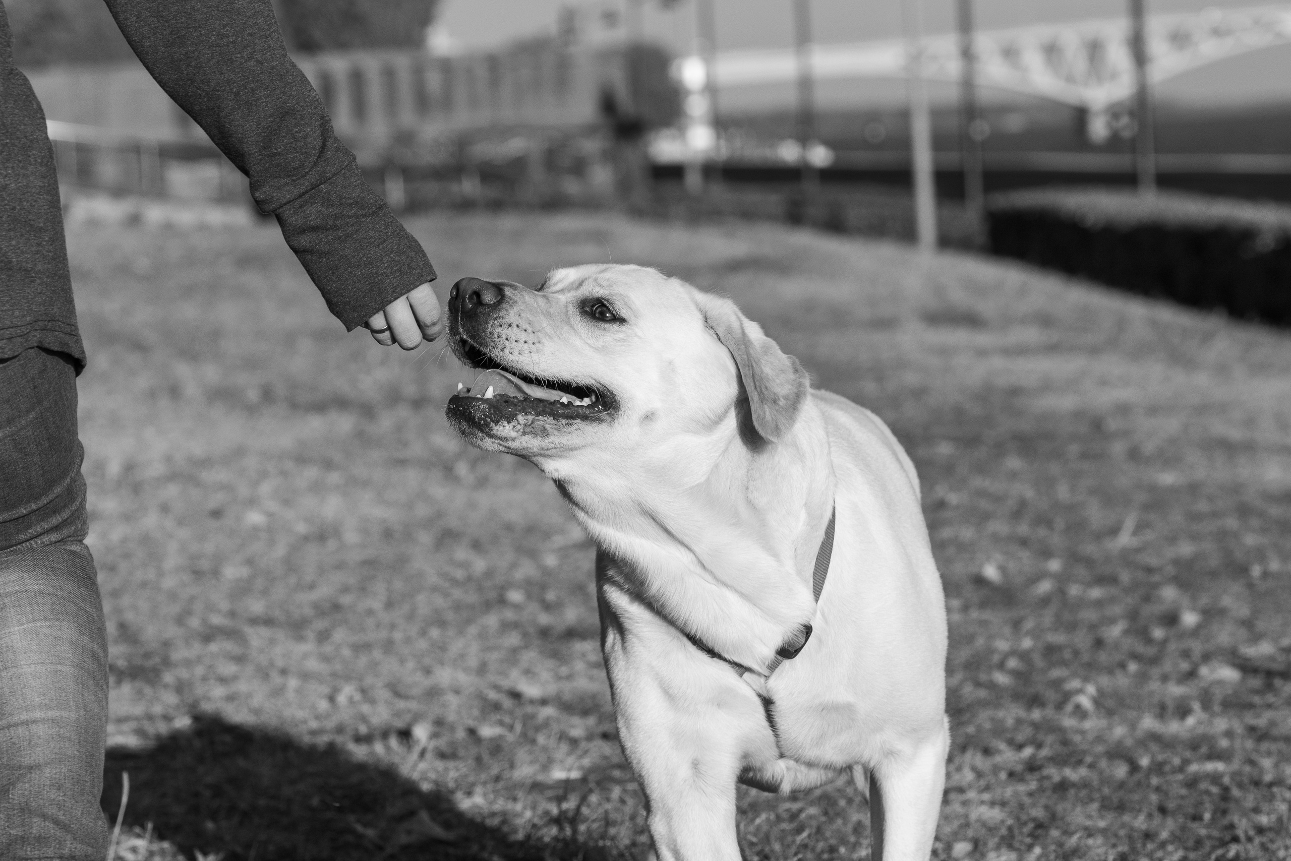 Анастасия. Фотограф Саратов Юлия Петрова
