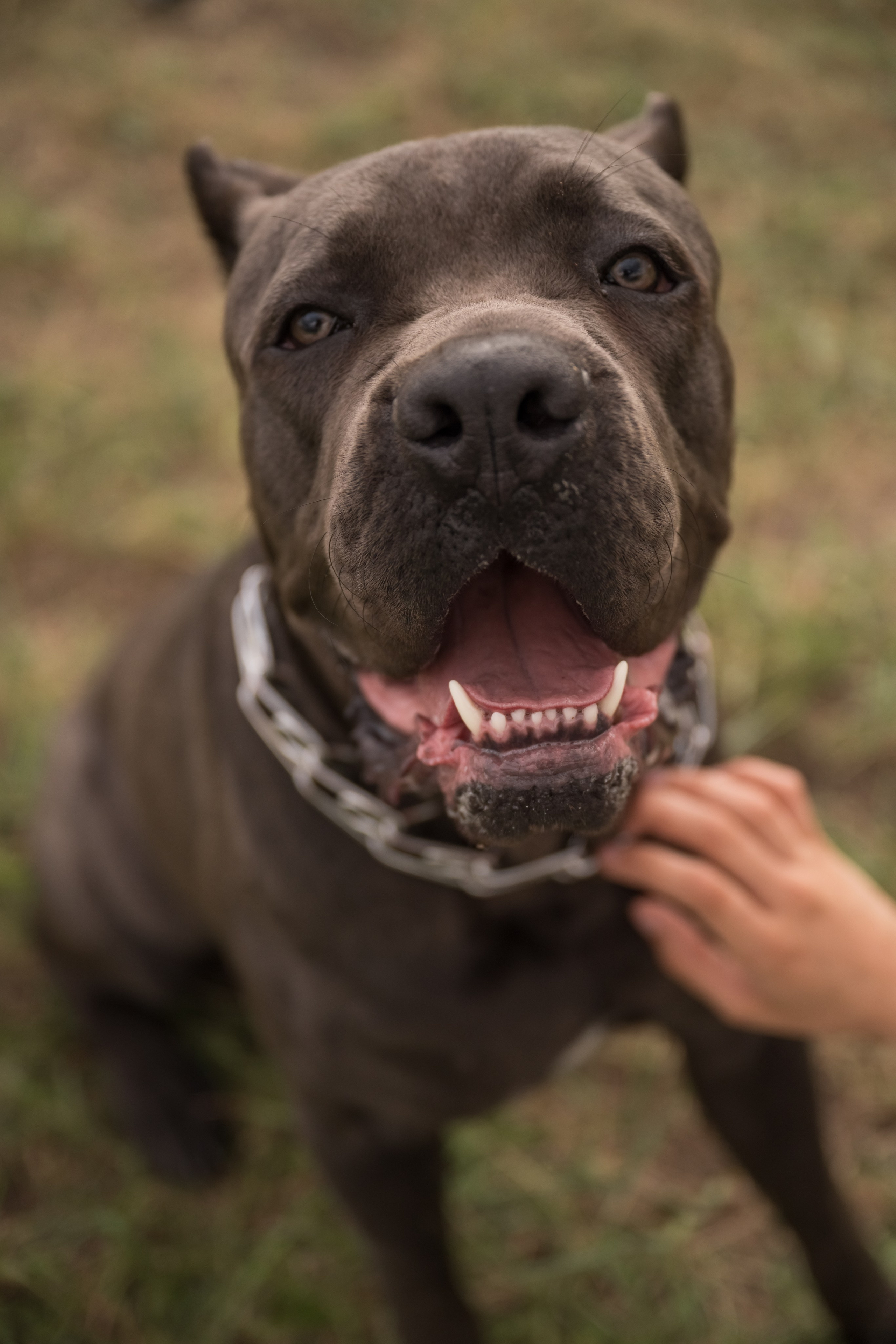 Дина, Яна и Лео. Фотограф Саратов Юлия Петрова