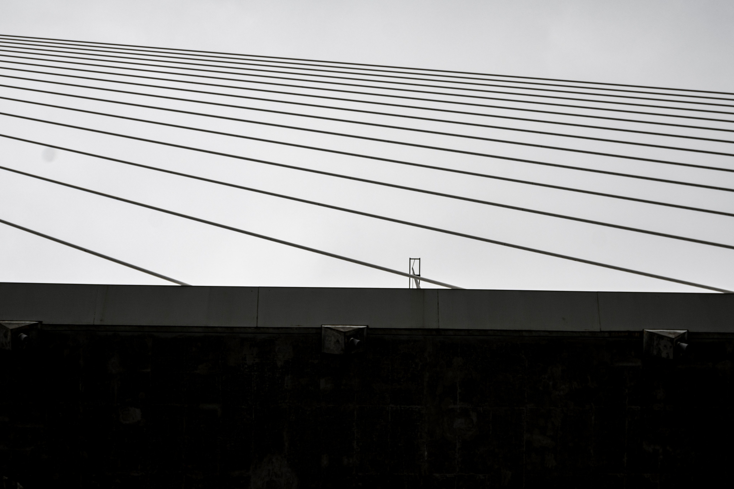 Владивосток. Сентябрь 2023. Фотограф Роман Адлер