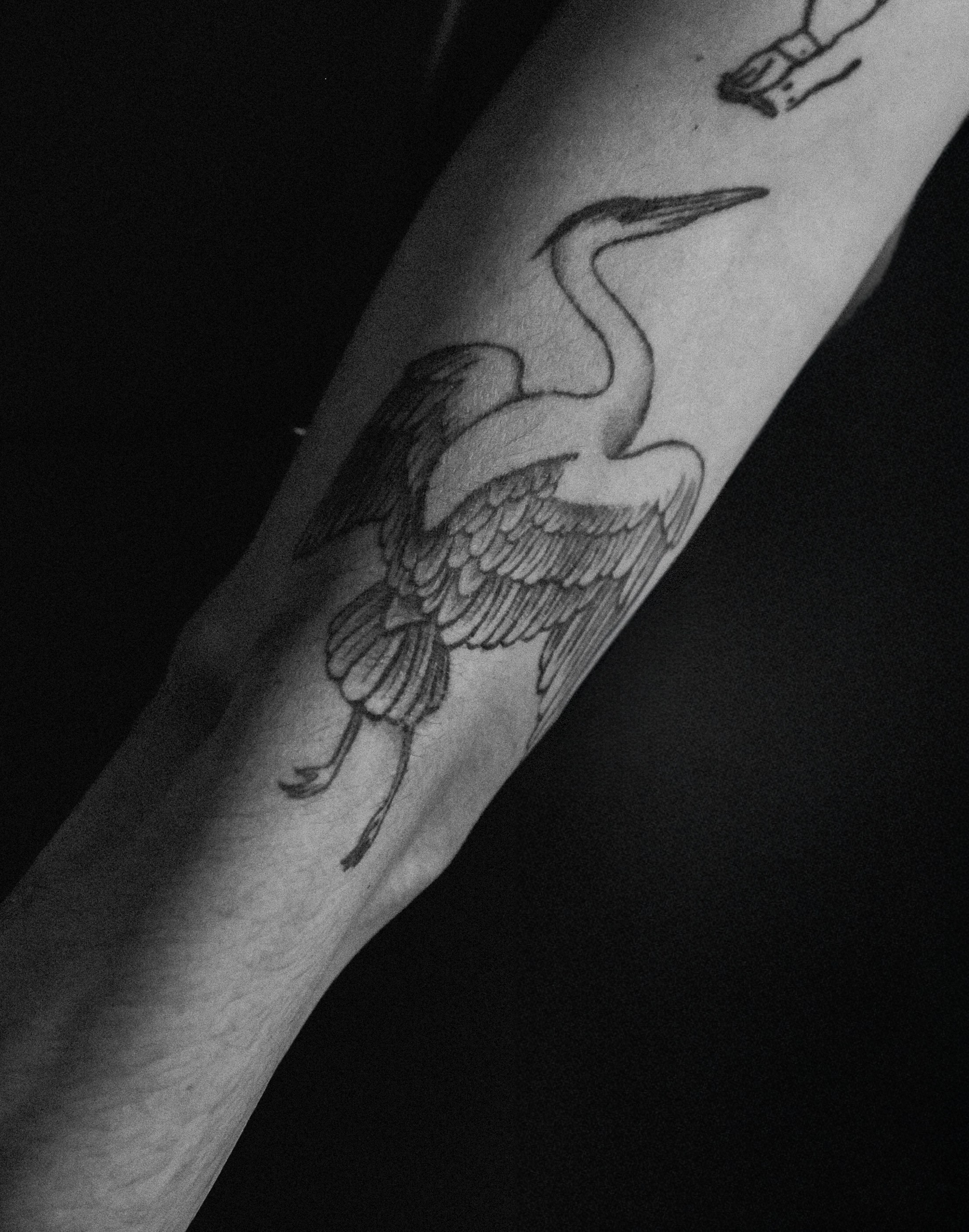 Love story. Свадебный фотограф в Воронеже Алексей Логинов