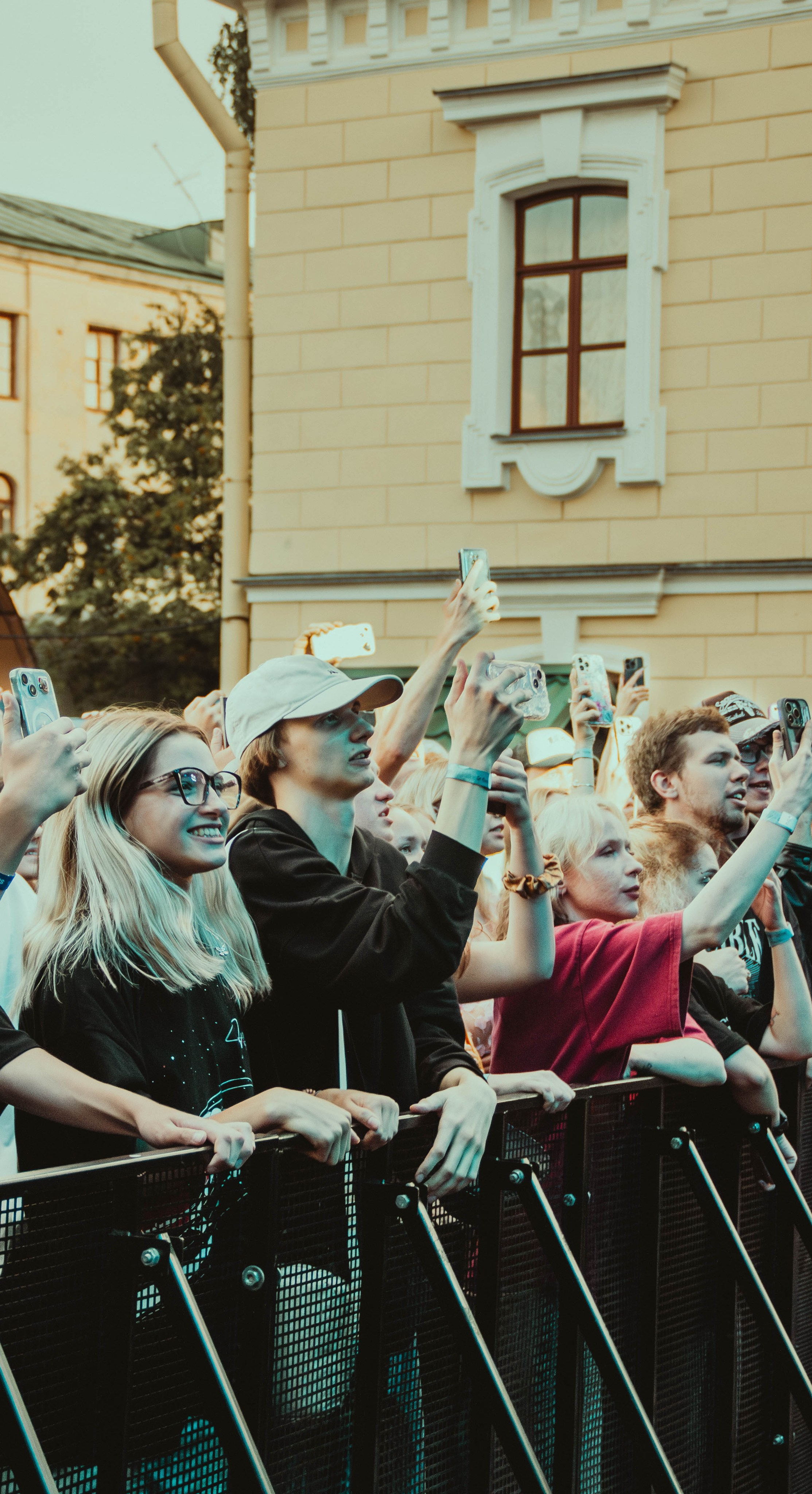 SALUKI. Фотограф montefrioree