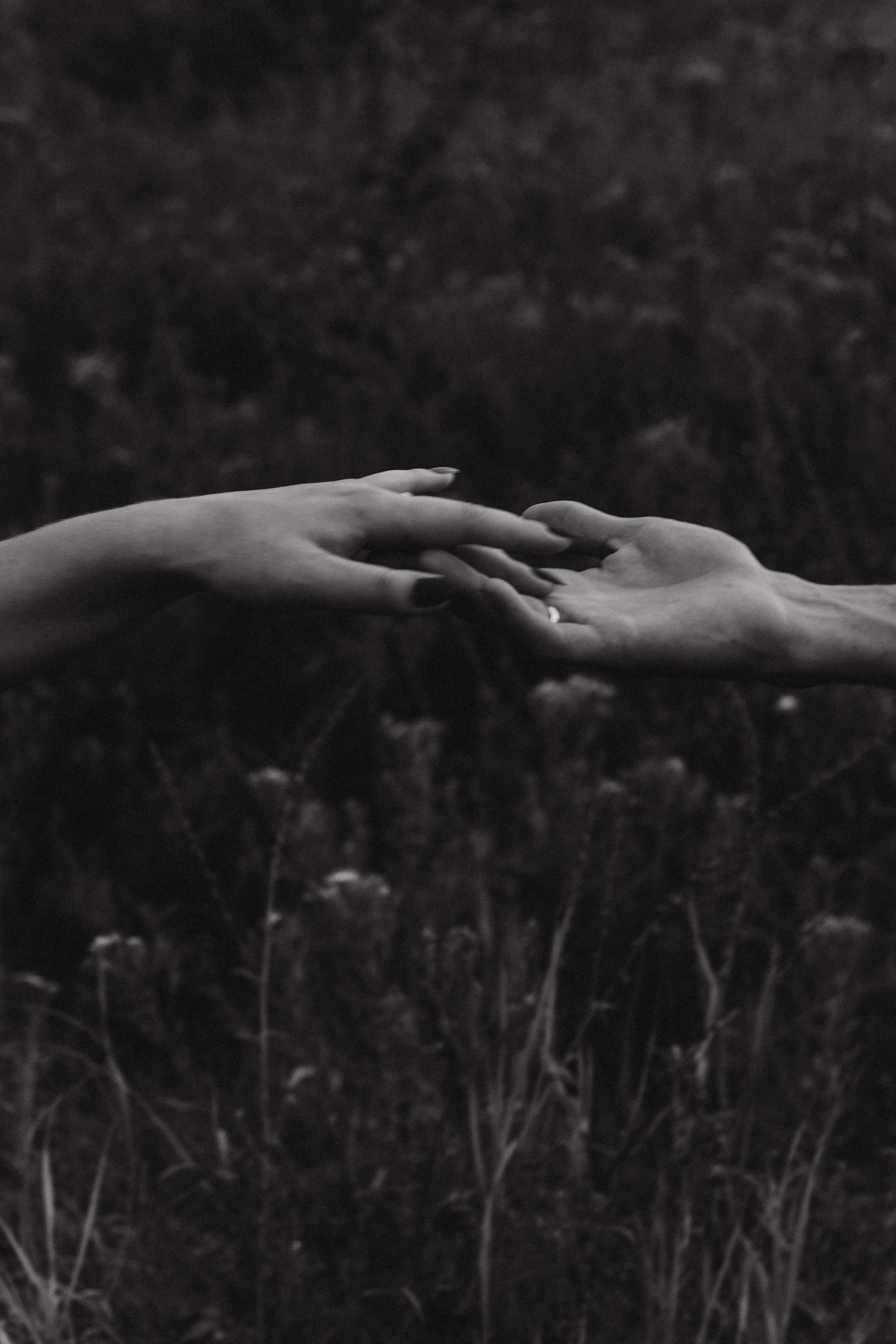 Жанна ♡ Дима 2021 г. Семейный фотограф Оля Гладченко