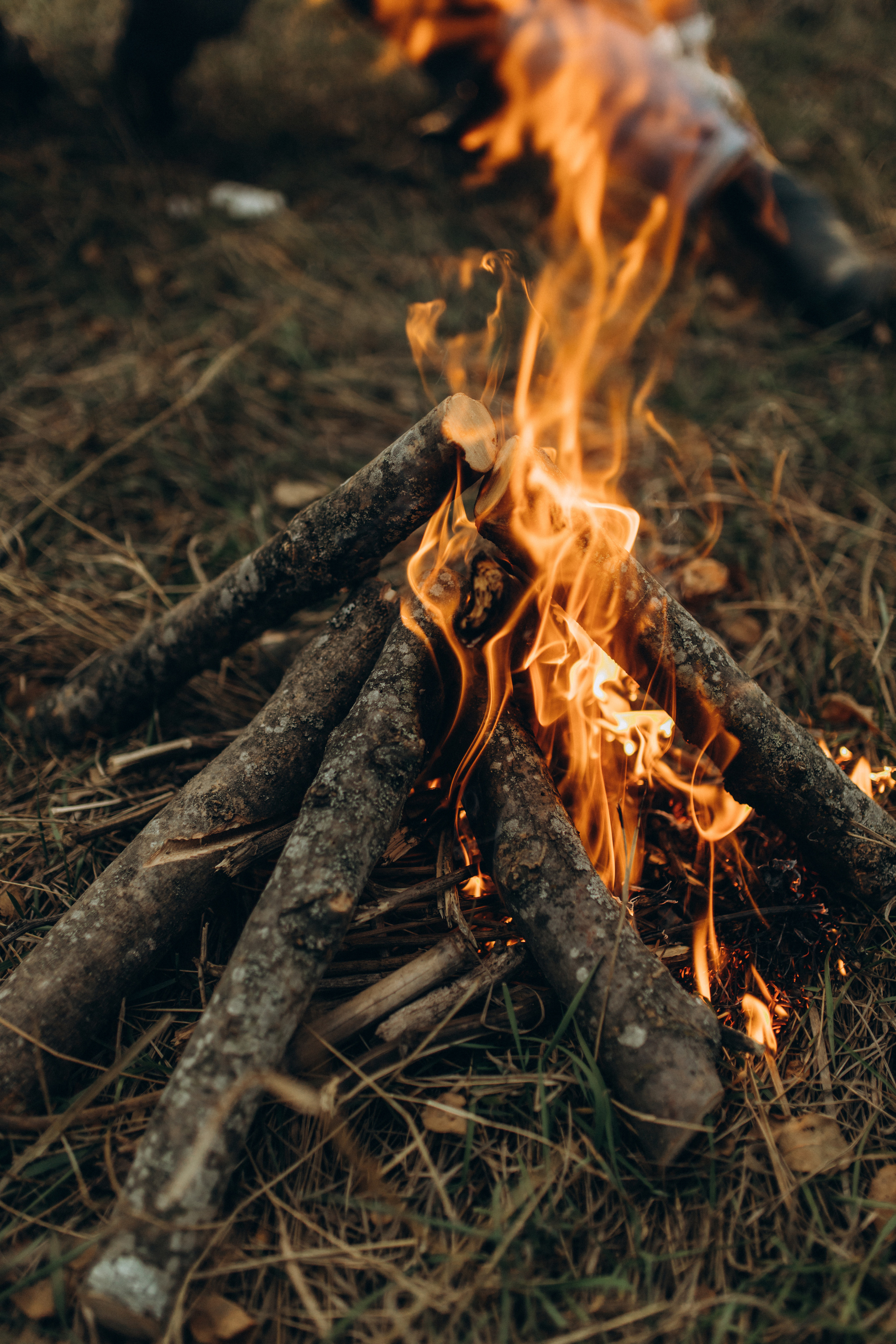 Лера, Коля, Матвей и Полинка. Семейный фотограф Оля Гладченко