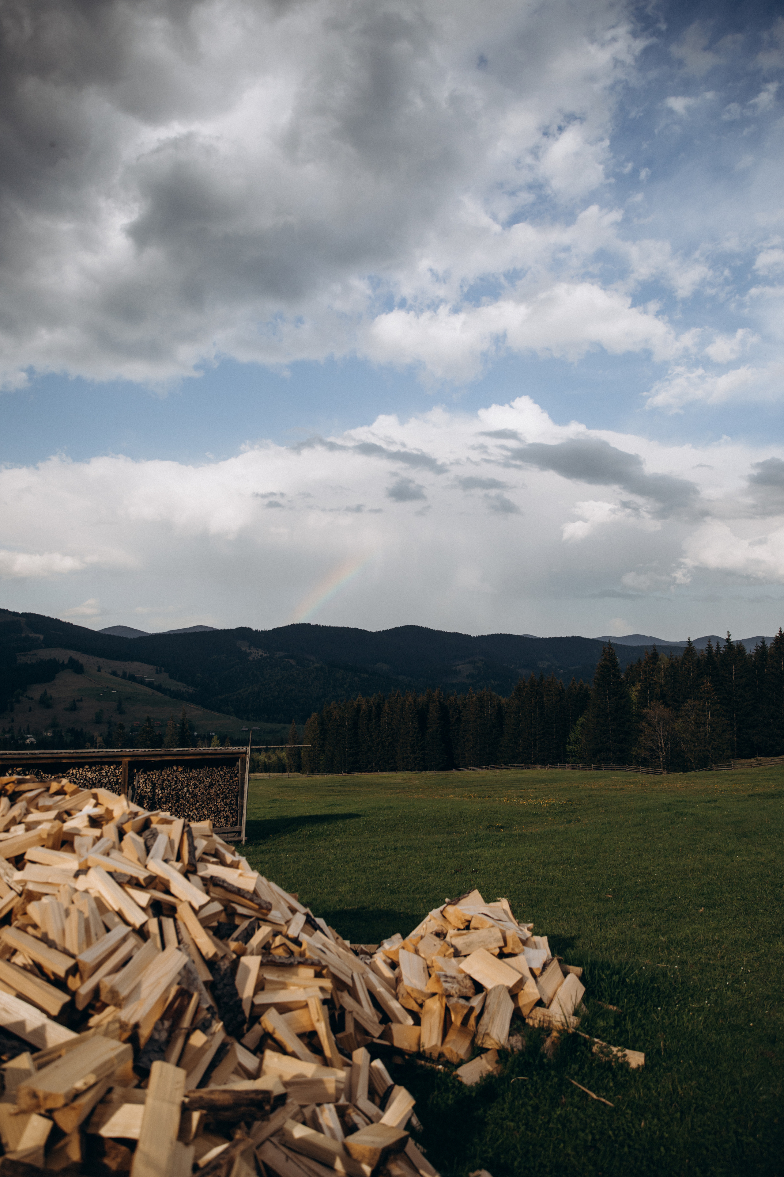 Карпаты. Никита, Флора и Аня. Семейный фотограф Оля Гладченко
