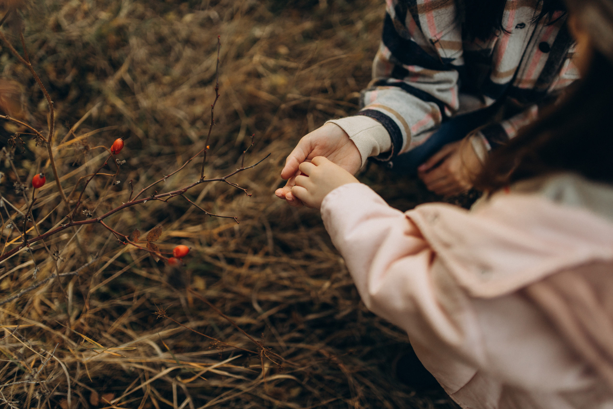 Лера, Коля, Матвей и Полинка. Семейный фотограф Оля Гладченко
