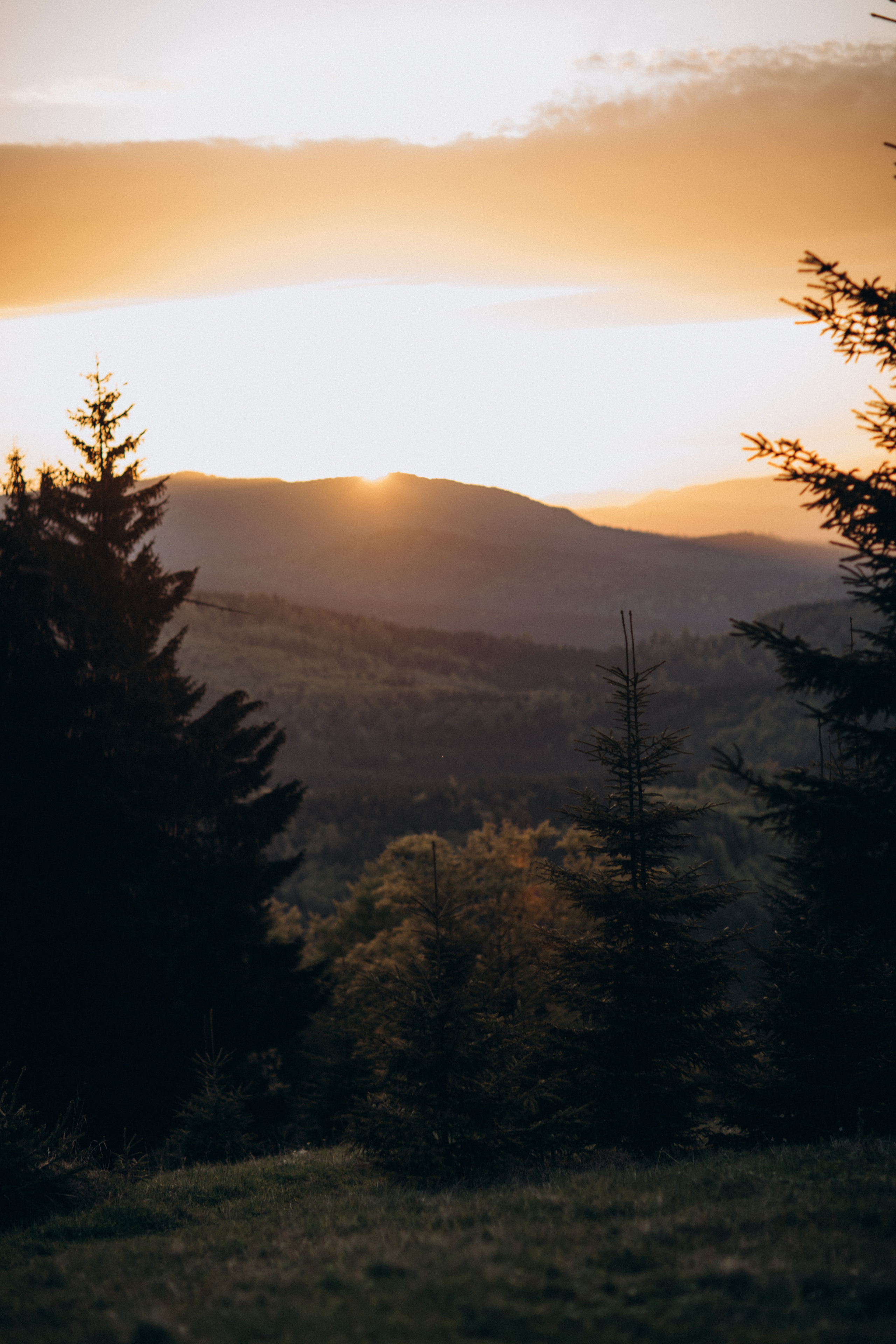 Мама Аня и Флора. Семейный фотограф Оля Гладченко
