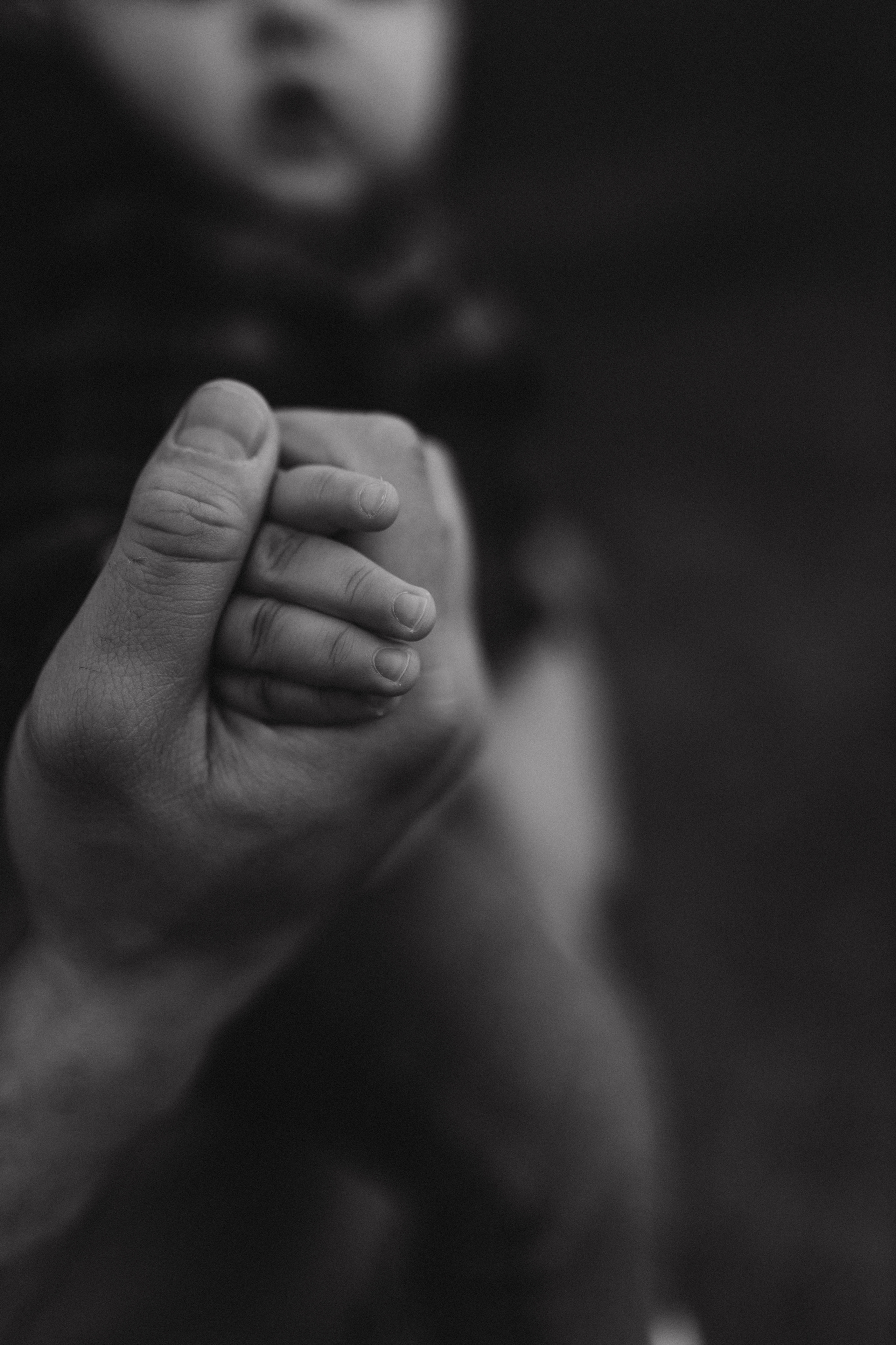 Лера, Коля, Матвей и Полинка. Семейный фотограф Оля Гладченко