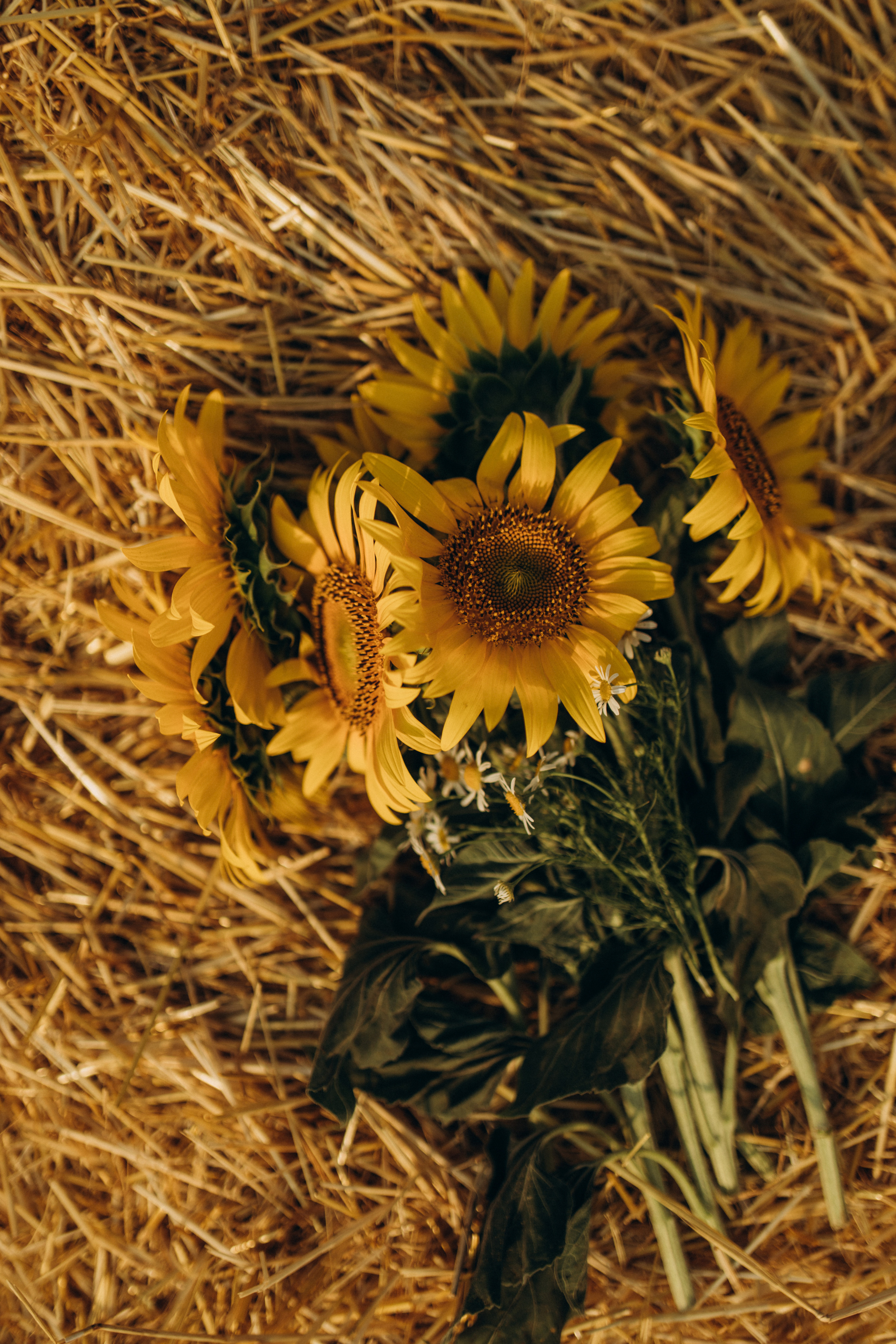 Саша ♡ Влад 2021 г. Семейный фотограф Оля Гладченко