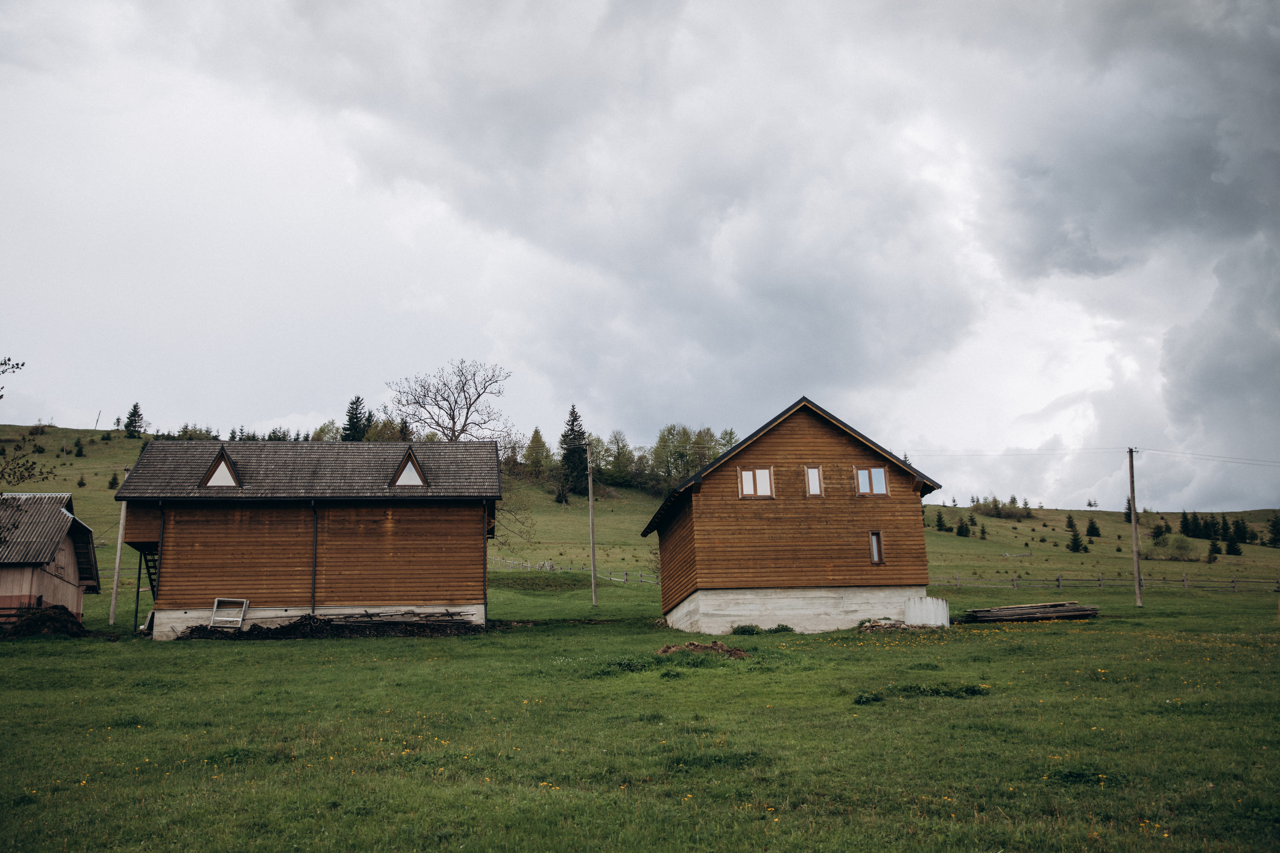 Карпаты. Никита, Флора и Аня. Семейный фотограф Оля Гладченко