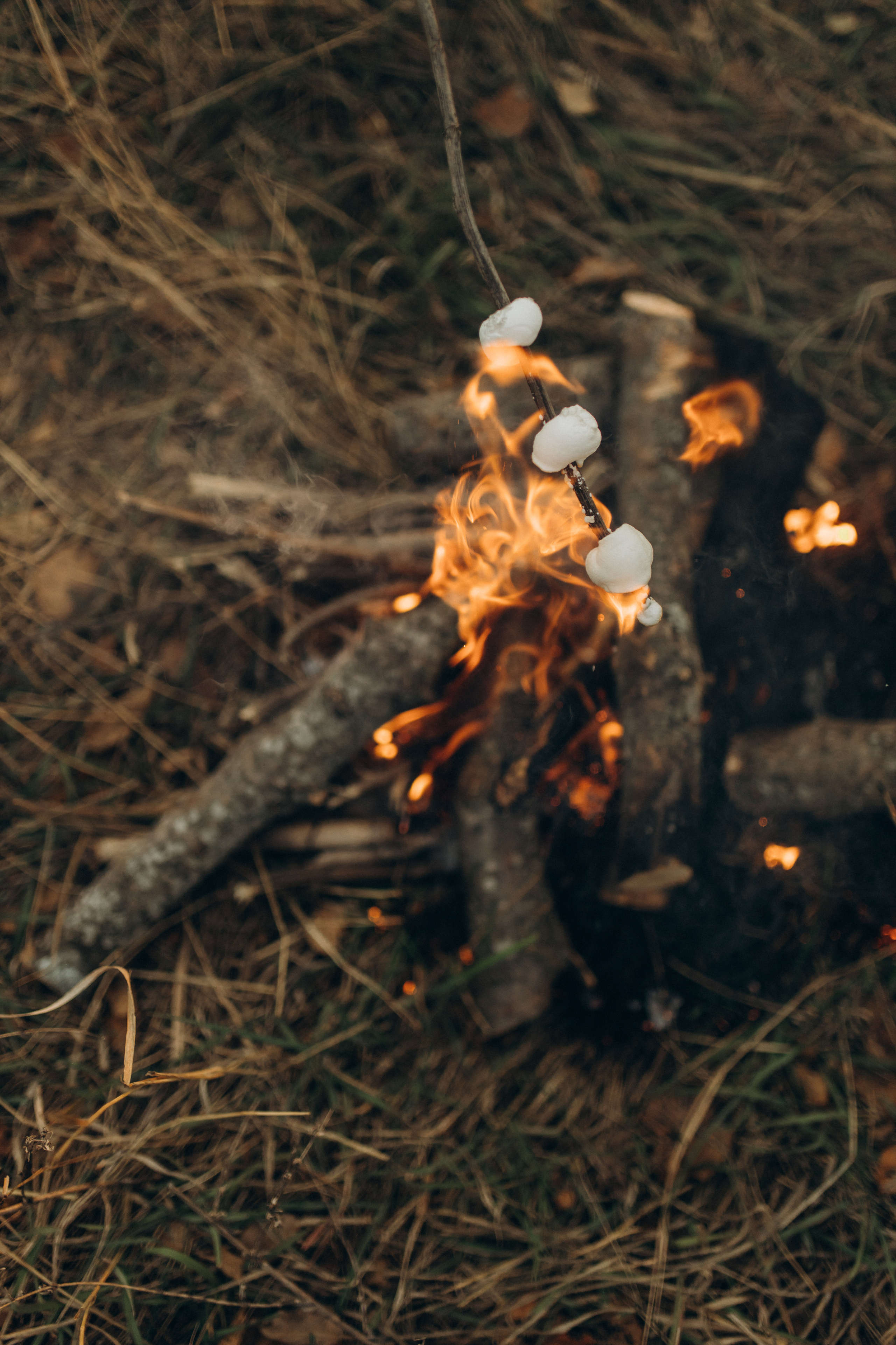 Лера, Коля, Матвей и Полинка. Семейный фотограф Оля Гладченко