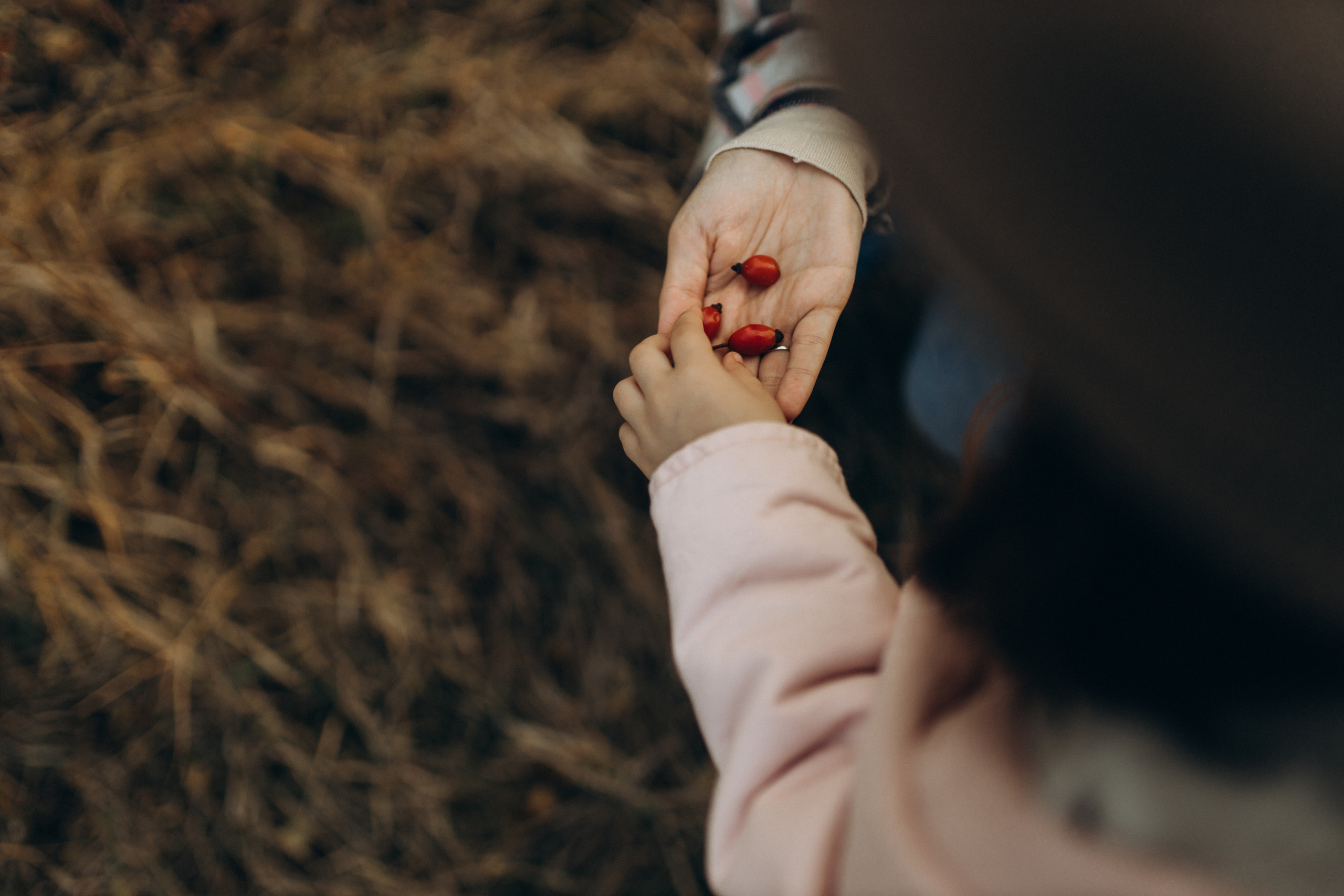 Лера, Коля, Матвей и Полинка. Семейный фотограф Оля Гладченко