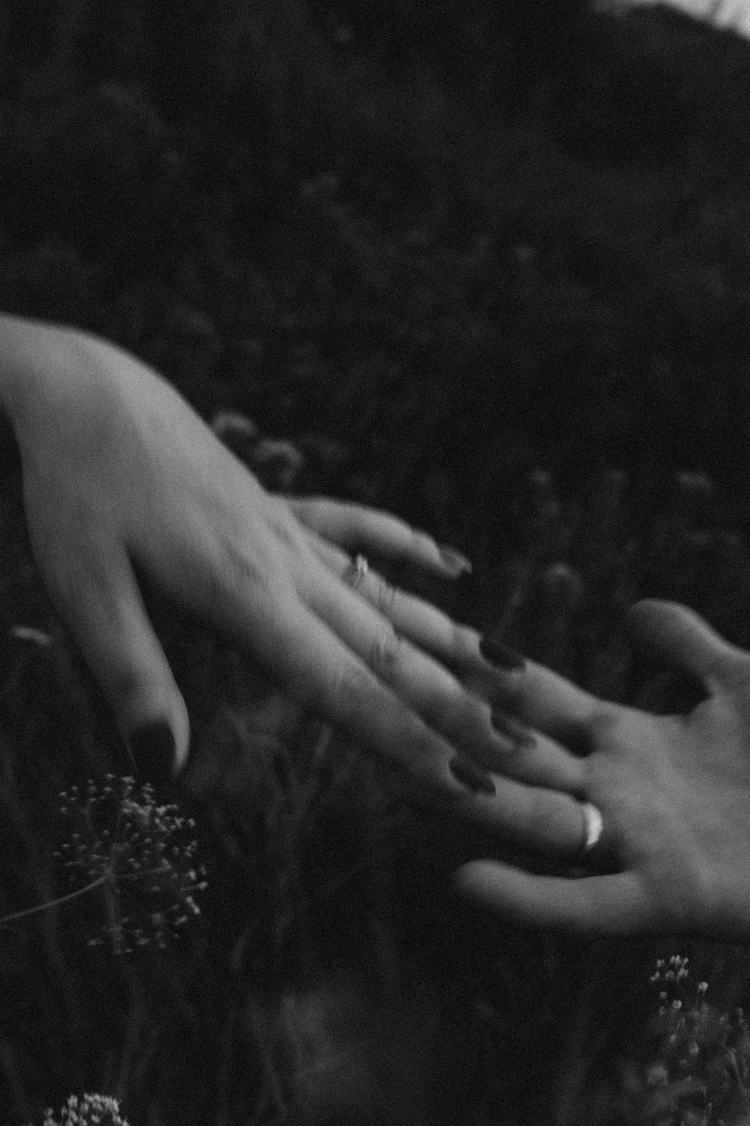 Жанна ♡ Дима 2021 г. Семейный фотограф Оля Гладченко