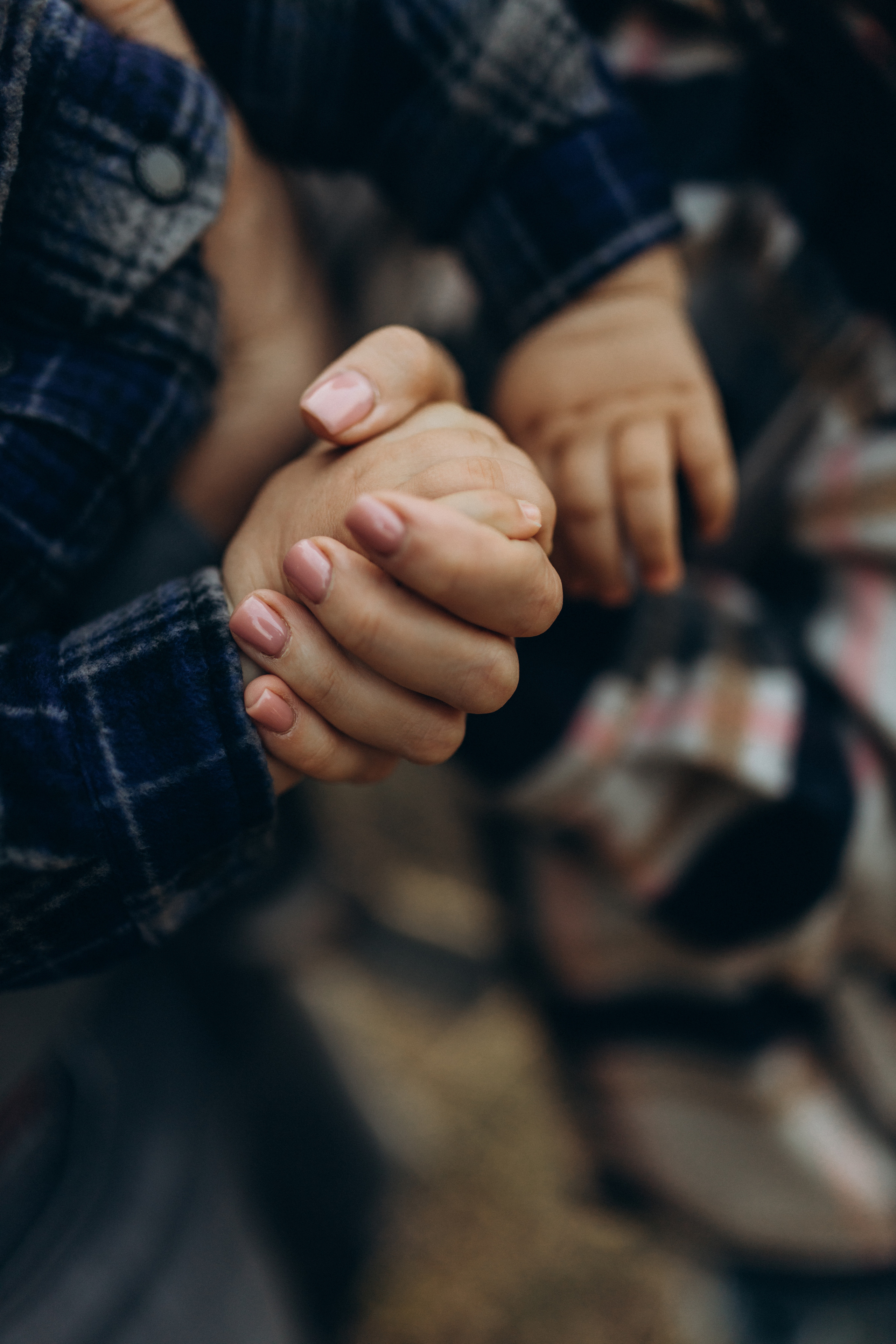 Лера, Коля, Матвей и Полинка. Семейный фотограф Оля Гладченко