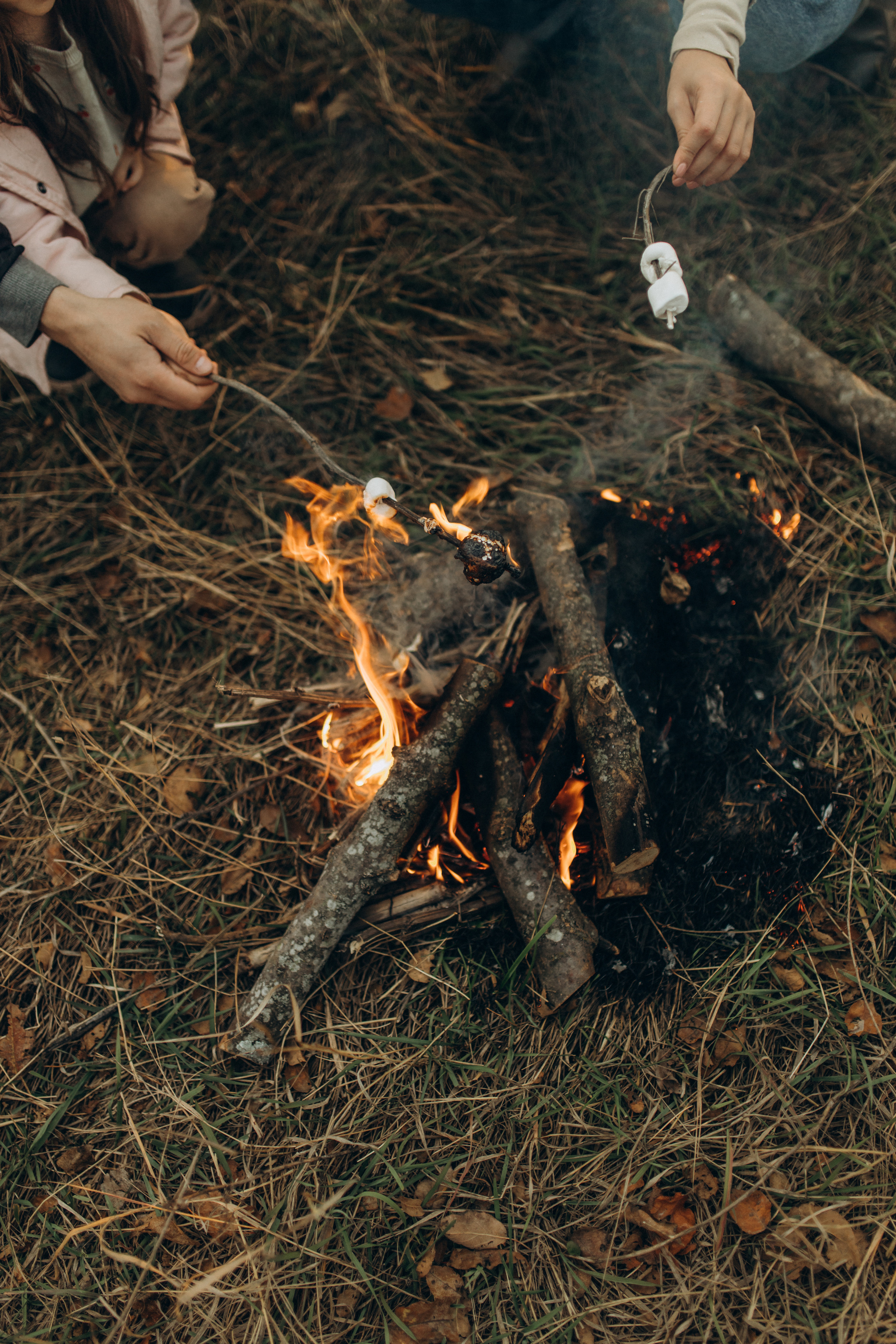 Лера, Коля, Матвей и Полинка. Семейный фотограф Оля Гладченко