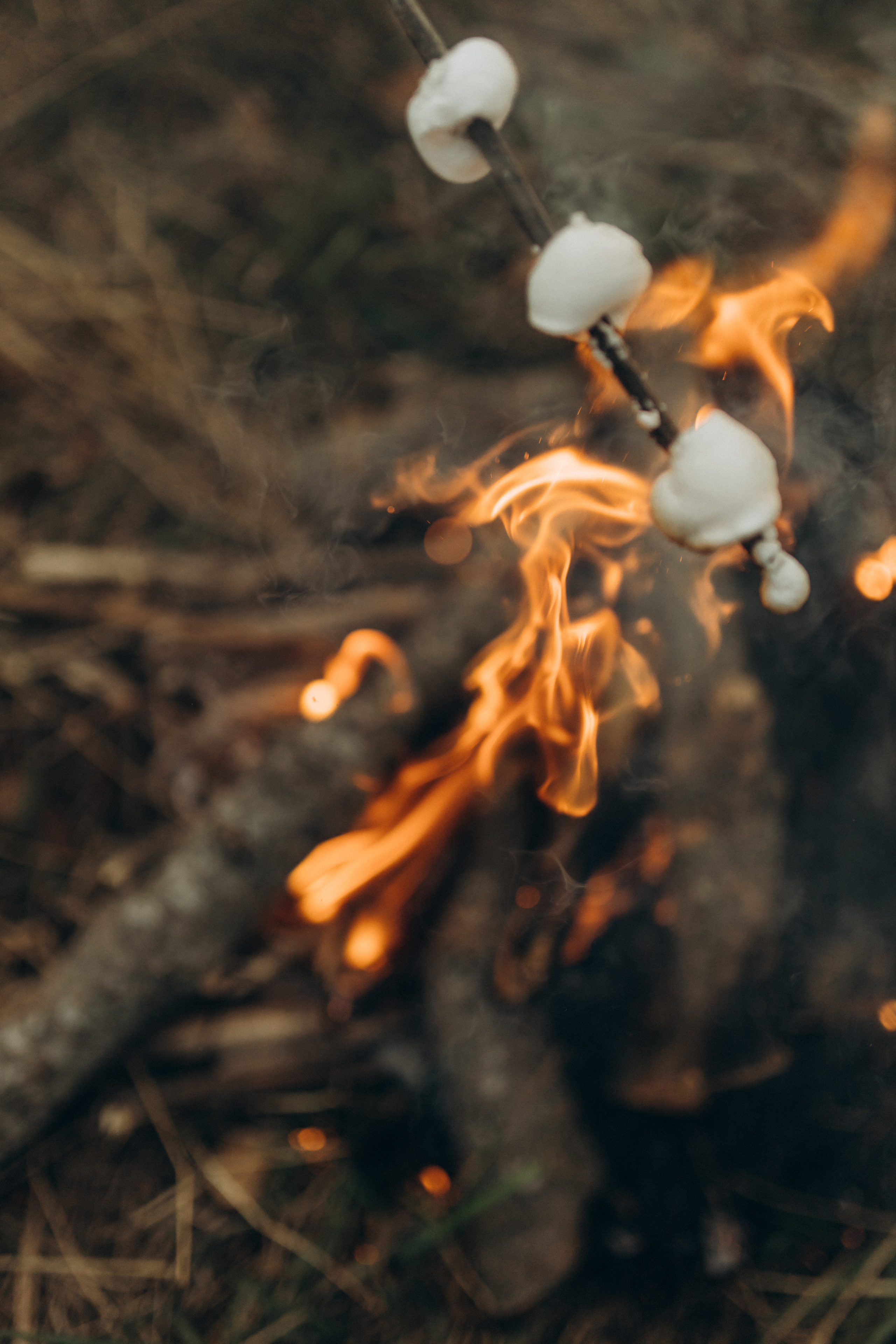 Лера, Коля, Матвей и Полинка. Семейный фотограф Оля Гладченко