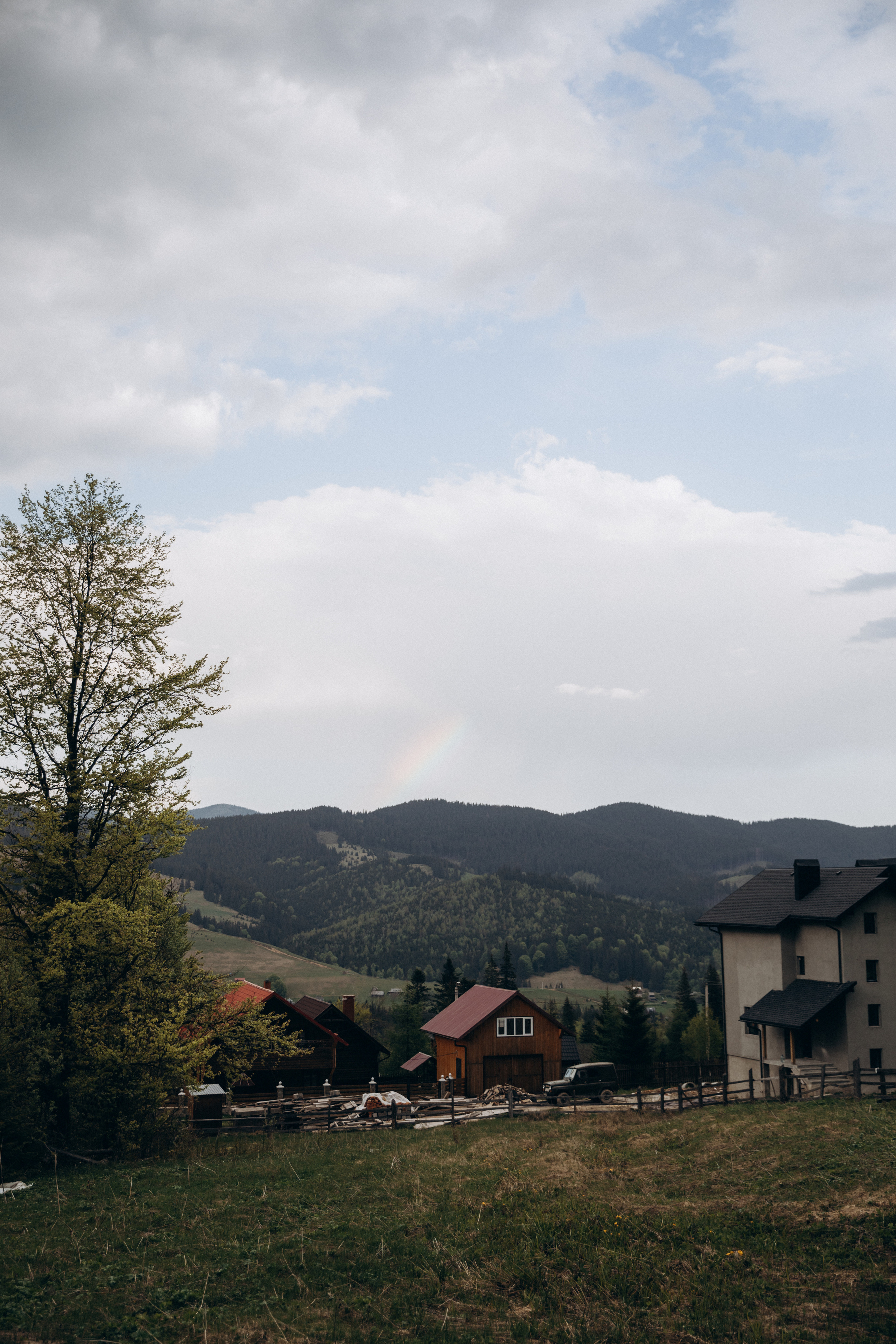 Карпаты. Никита, Флора и Аня. Семейный фотограф Оля Гладченко