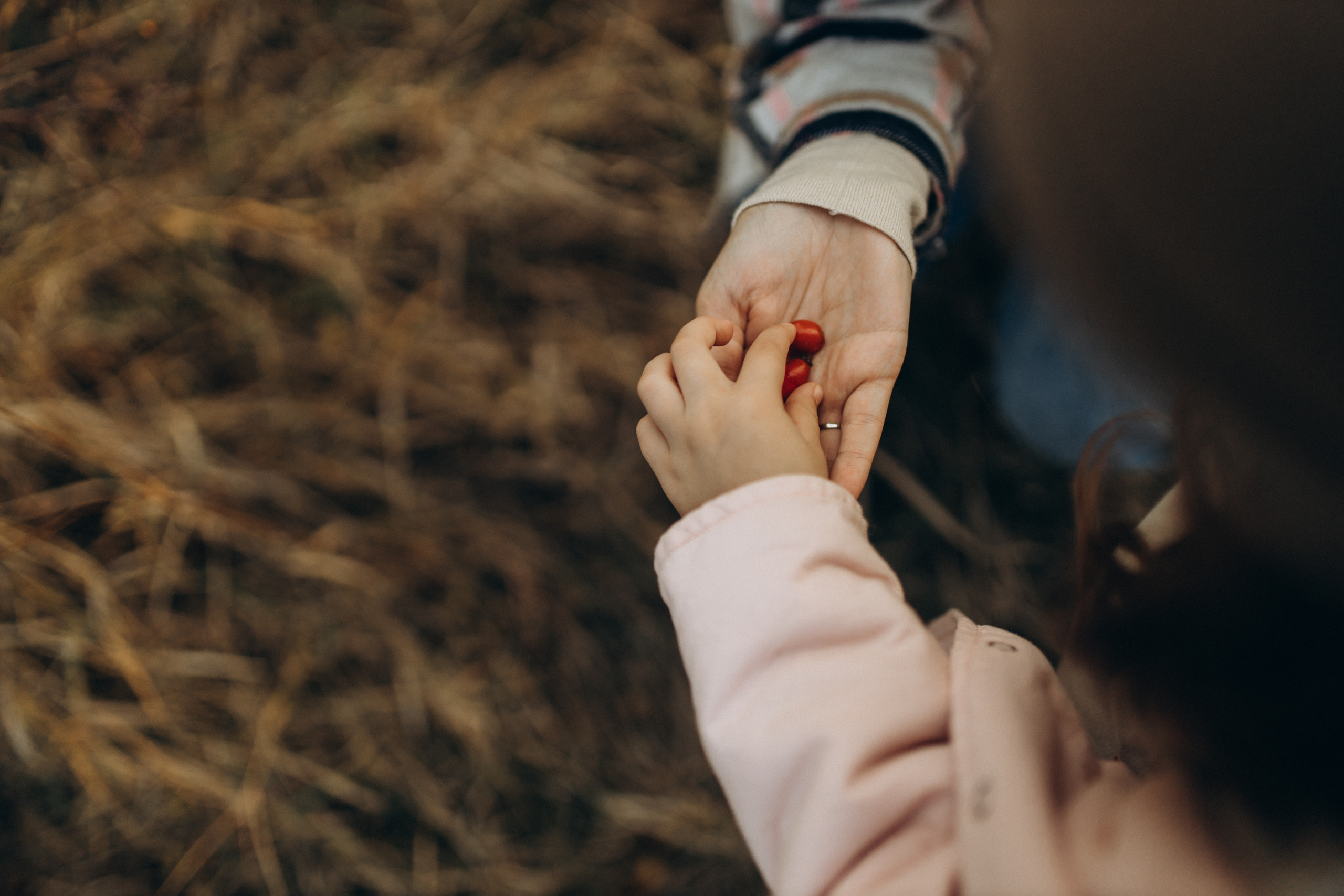 Лера, Коля, Матвей и Полинка. Семейный фотограф Оля Гладченко