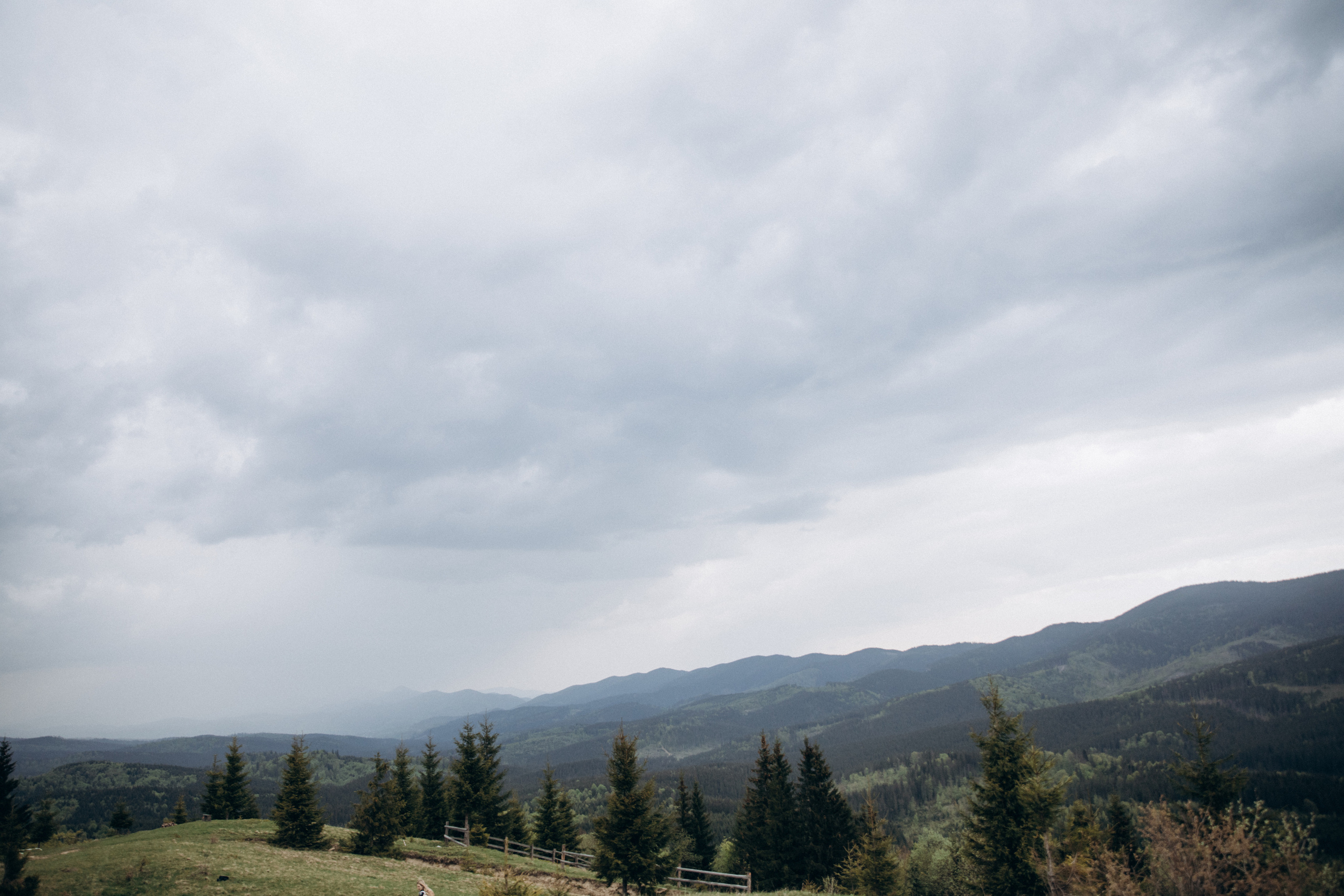 Карпаты. Никита, Флора и Аня. Семейный фотограф Оля Гладченко