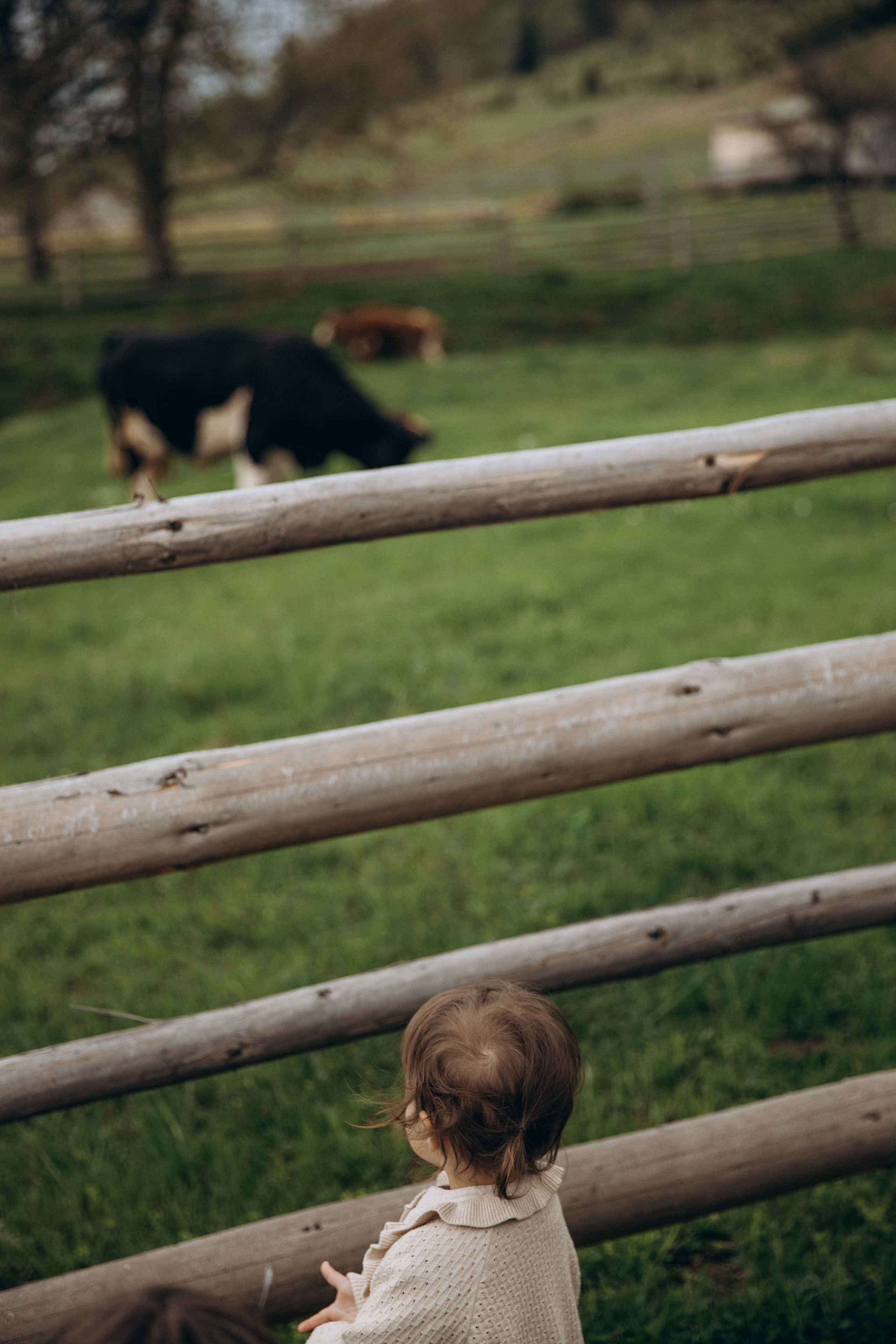 Карпаты. Никита, Флора и Аня. Семейный фотограф Оля Гладченко
