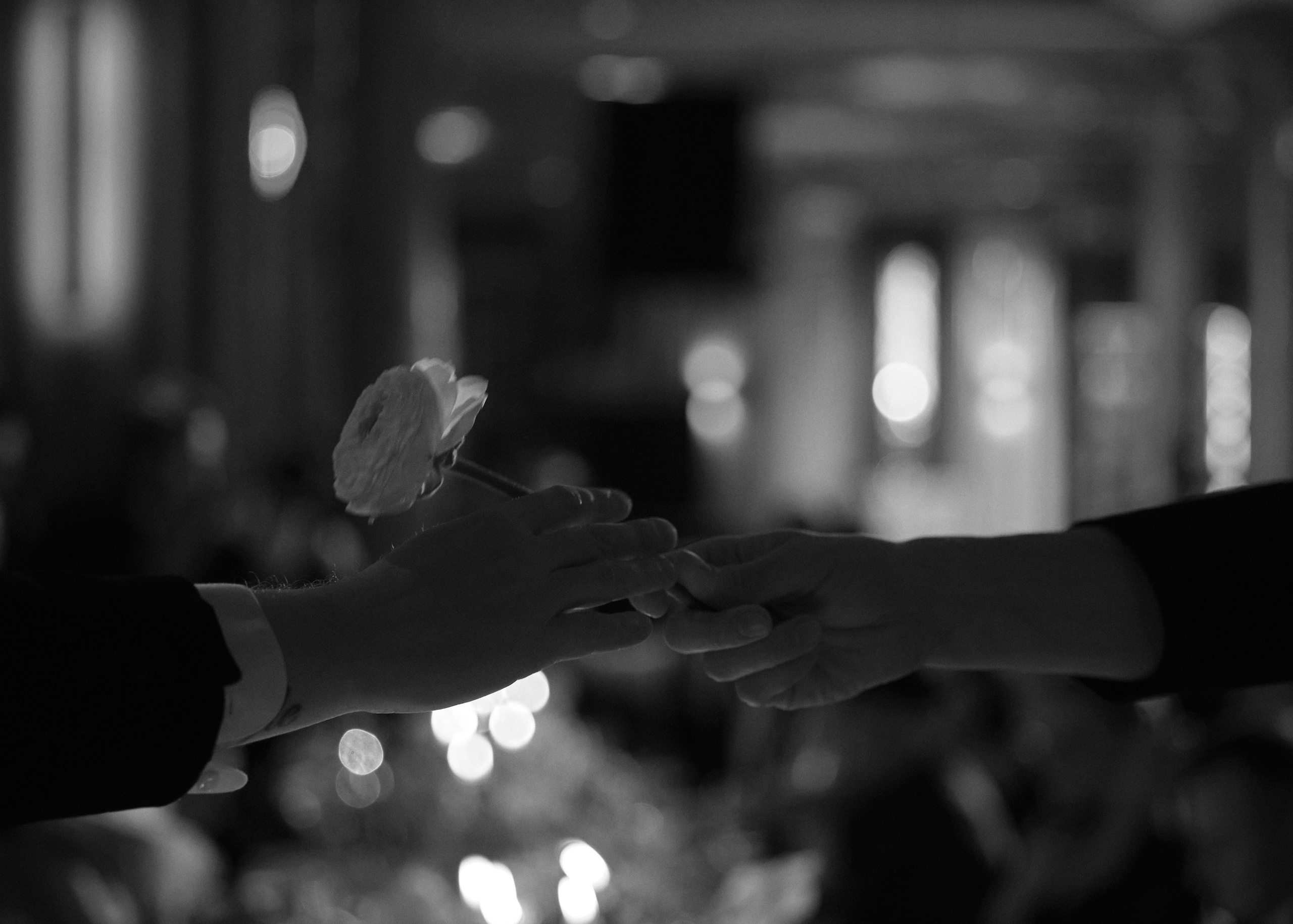 Tikhon | Milita. Свадебный фотограф Сергей Скрипник