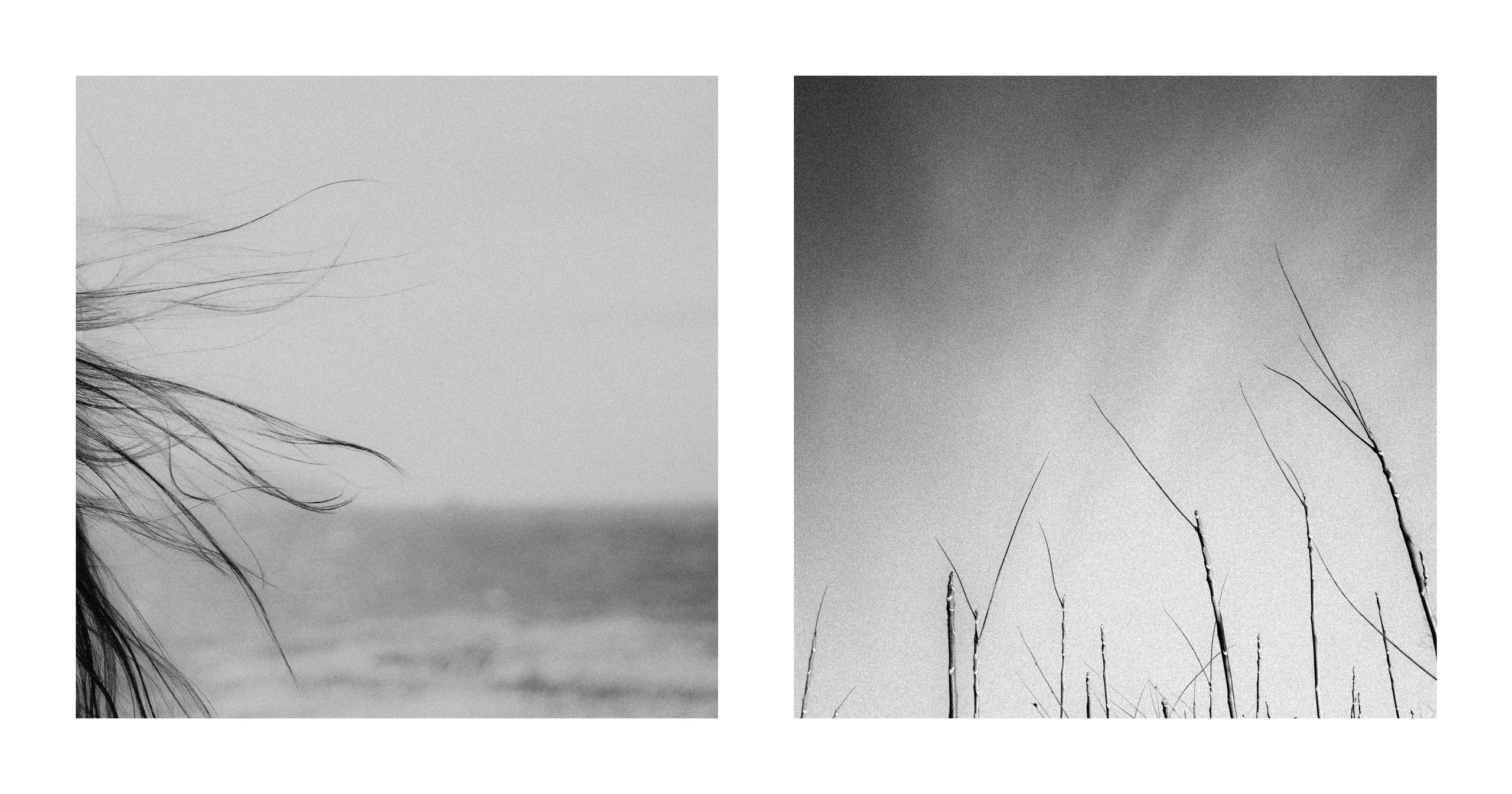 From the inside. VISUAL ARTIST · KRONGAUZ ANASTASIA