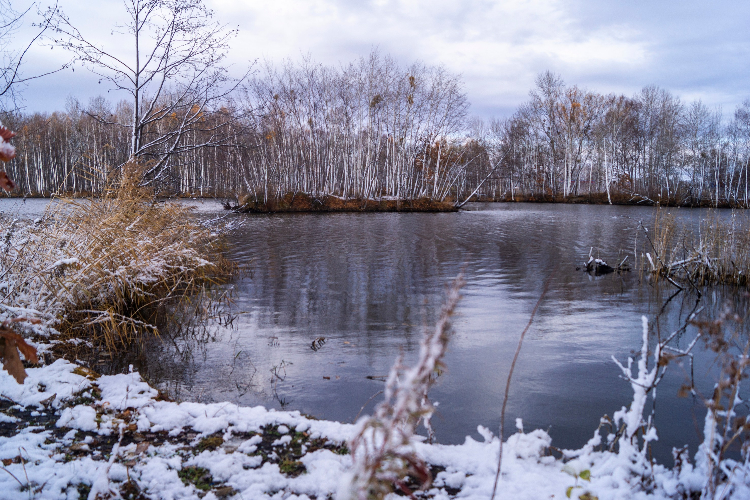Природа Хабаровского края. Команда фотографов Кристины Ивановой