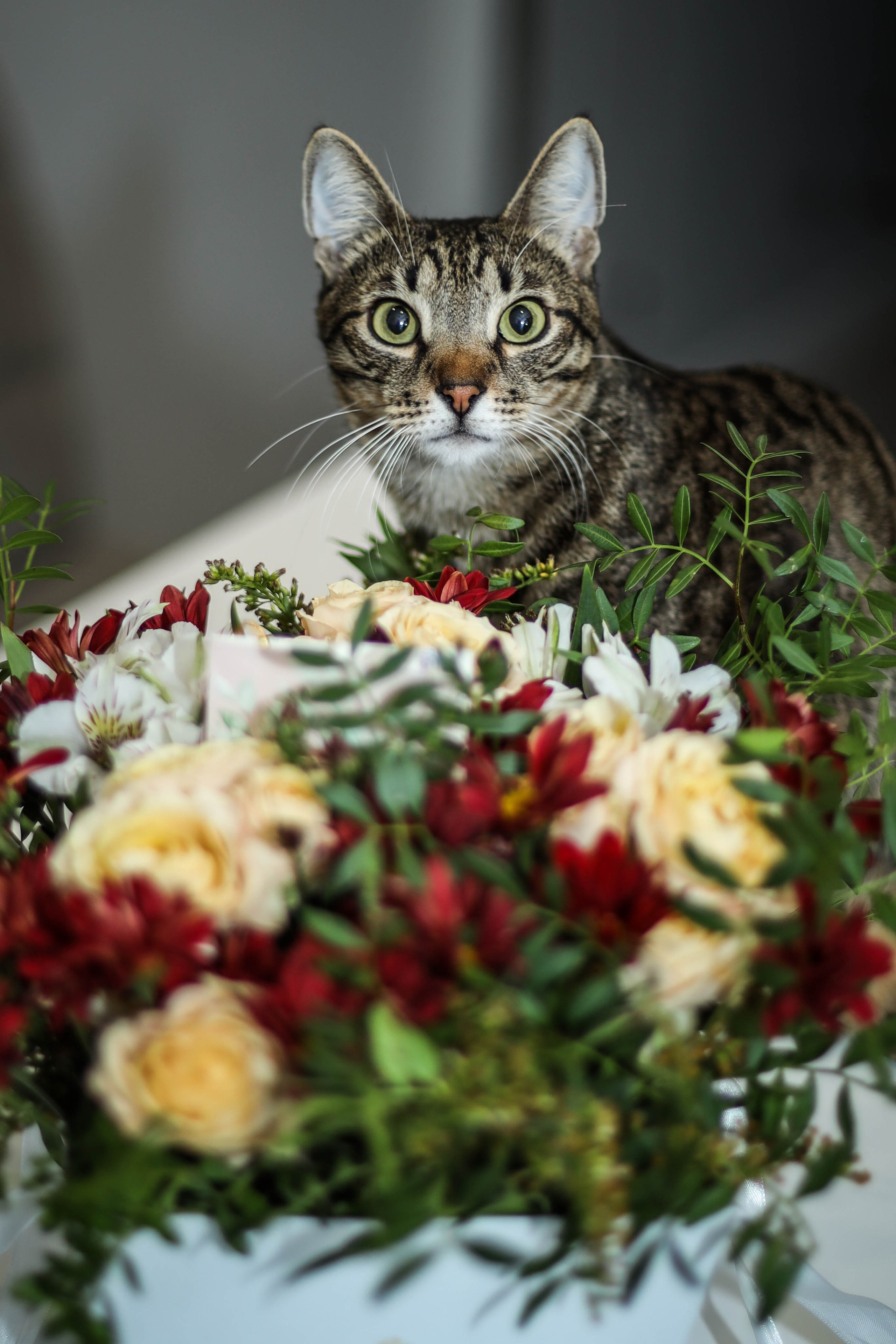 Нежность. Семейный, детский, свадебный фотограф в Москве, Люберцах
