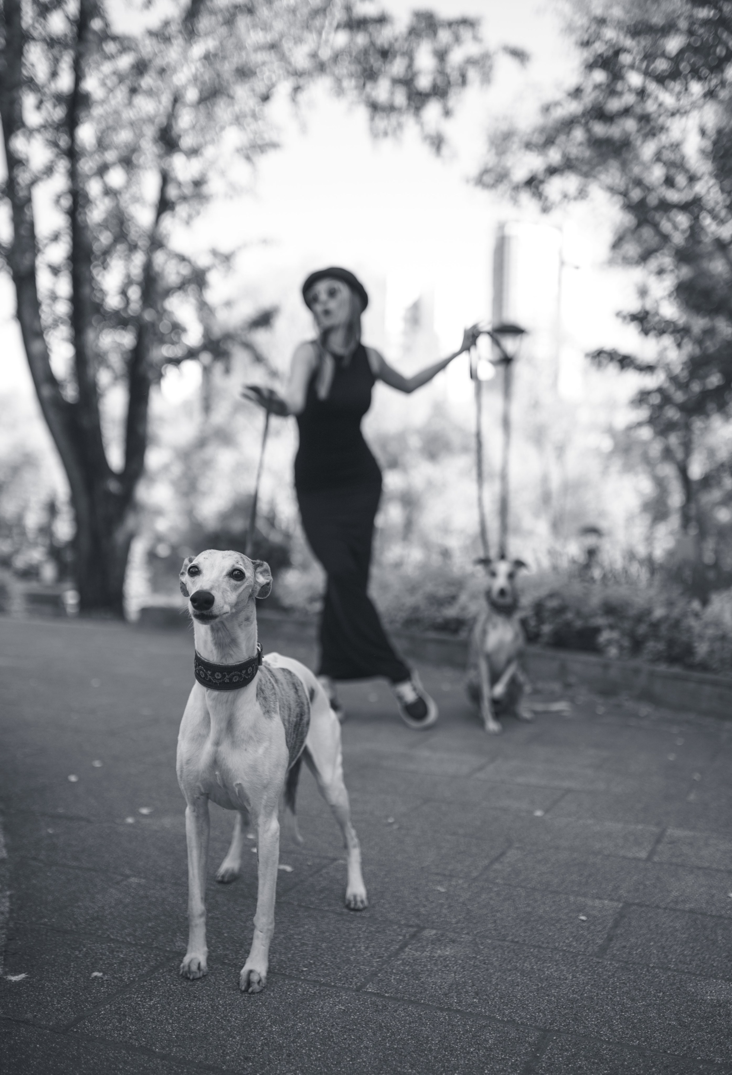 Фотограф Татьяна Денисова, Москва