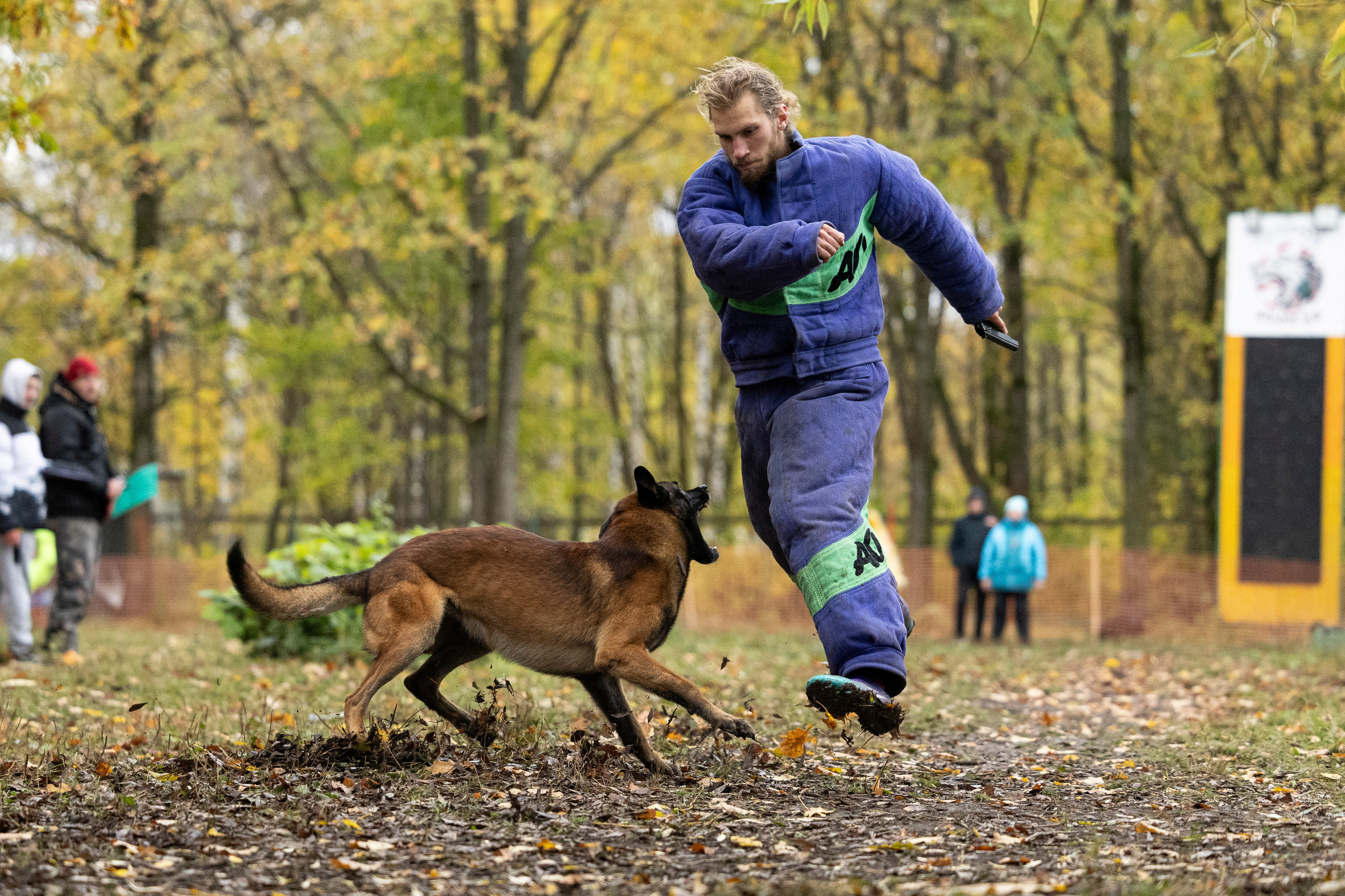 Соревнования по Мондьорингу г. Вологда. Фотограф-анималист Анна Маринич