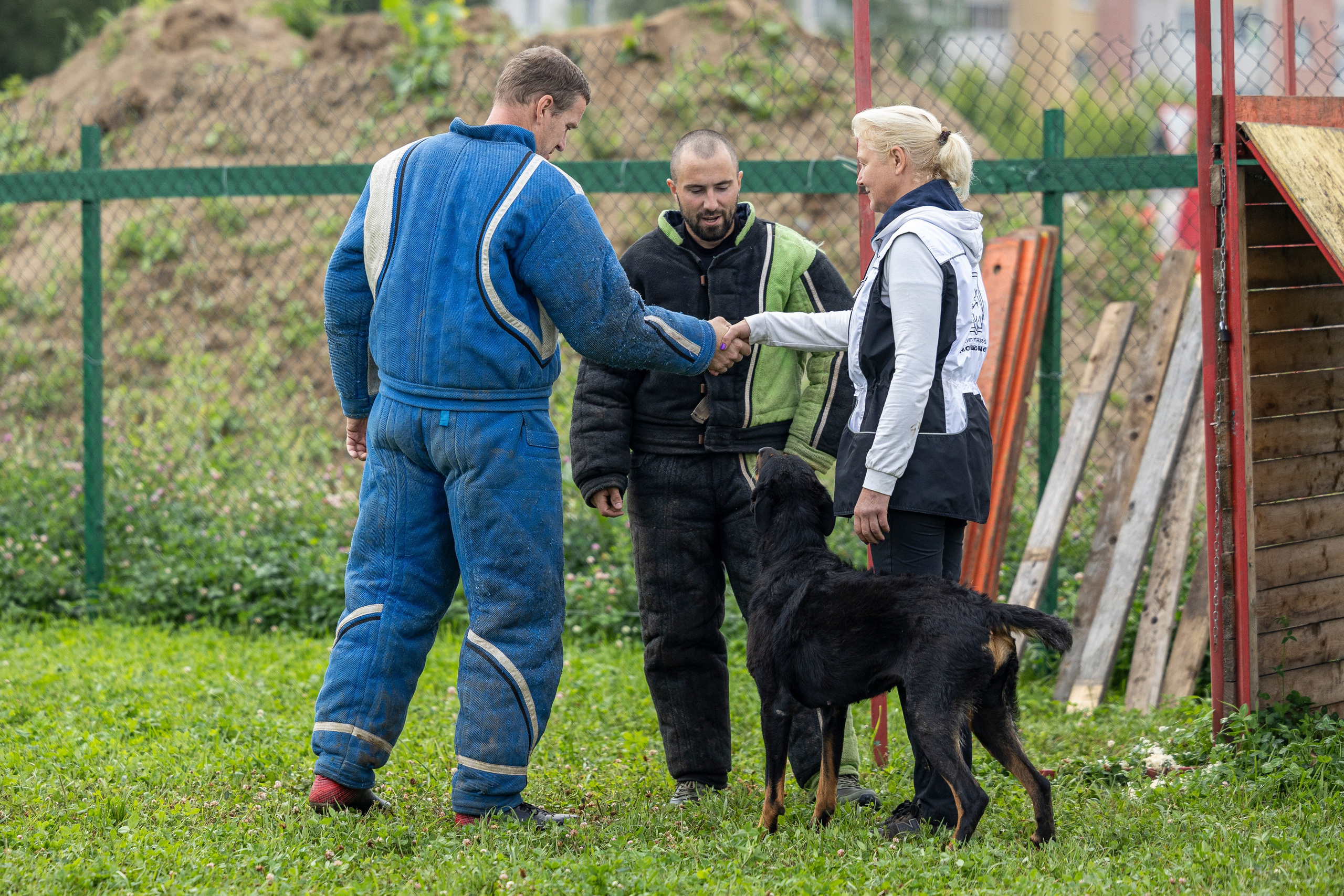 Соревнования по Мондьорингу г. Вологда 10-11.08.2024. Фотограф-анималист Анна Маринич