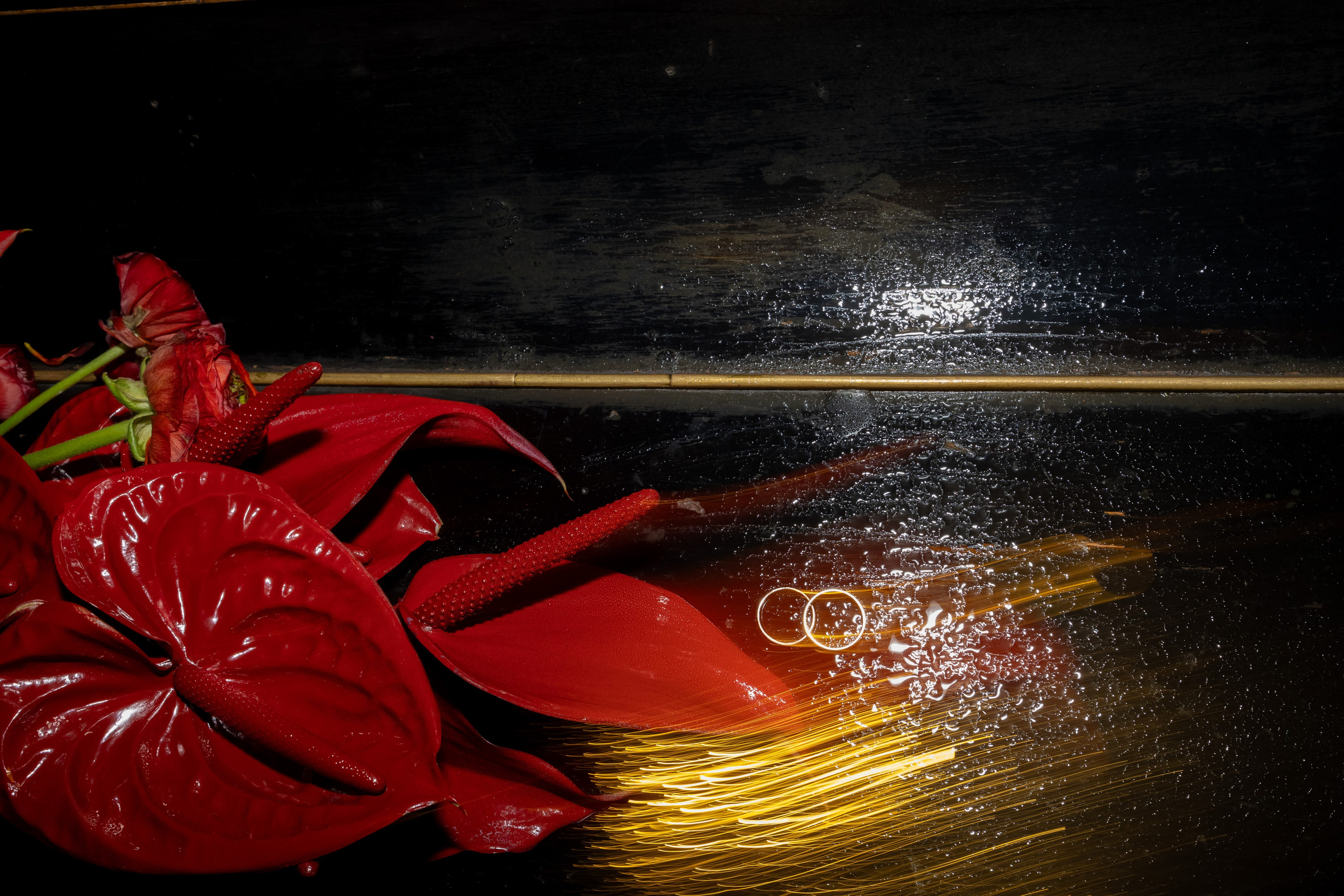 Арина & Константин. Яна Чхан — Фотограф в Донецке и не только