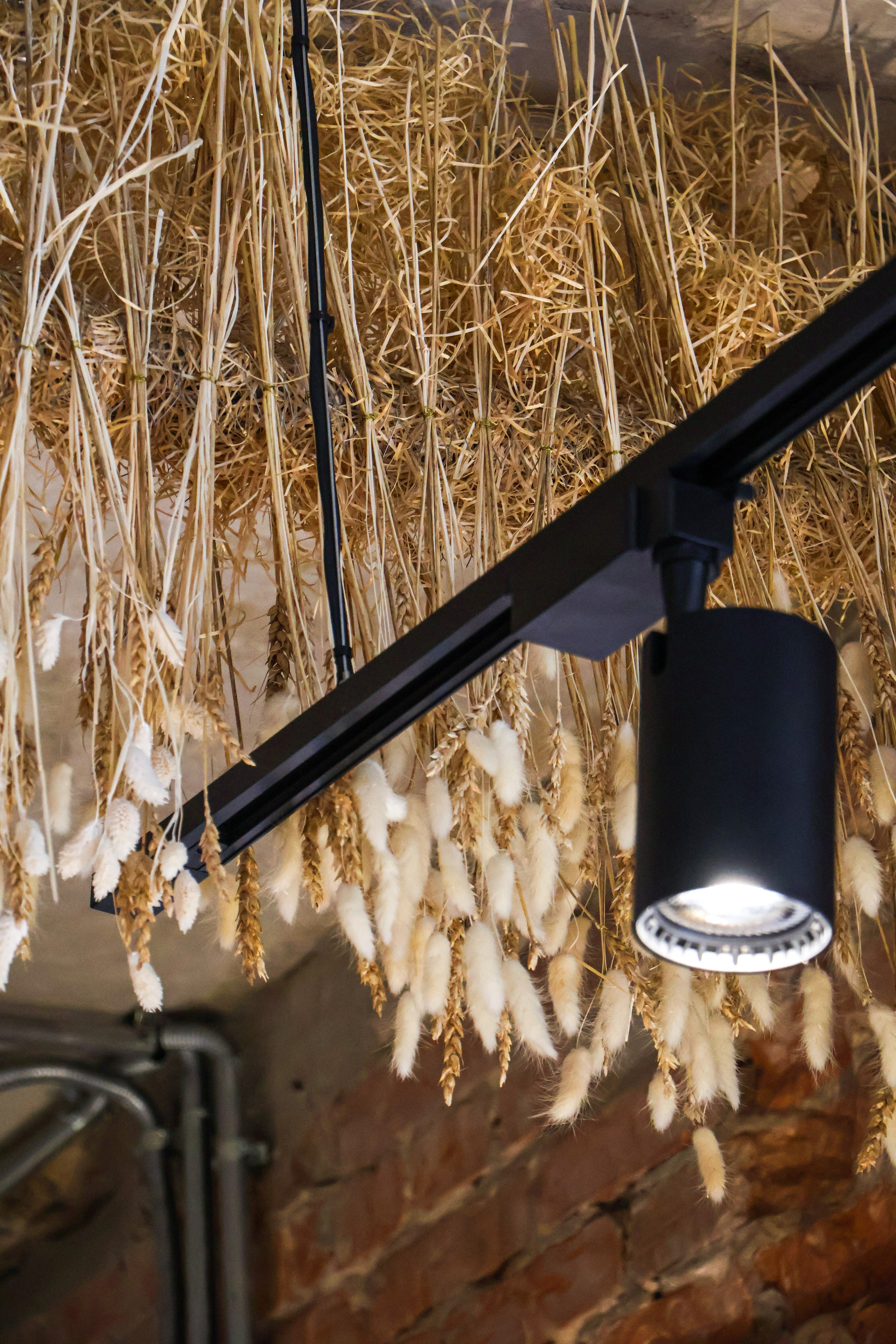 «Шоколатте» кафе-кондитерская, г. Бийск. Контент фотограф Дмитрий Борисов